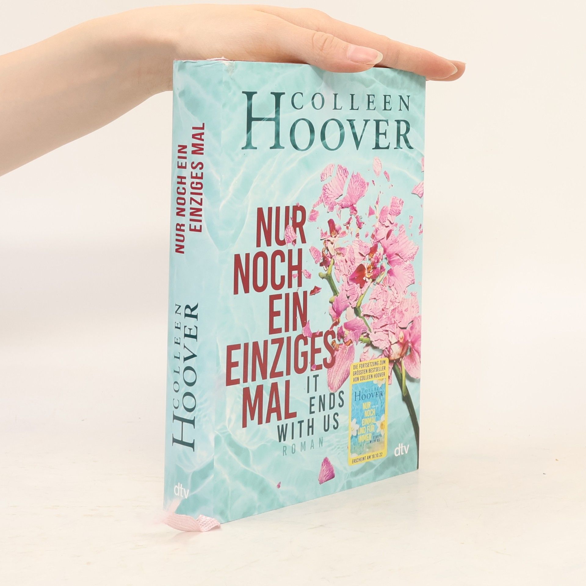 Colleen Hoover Nur noch ein einziges Mal