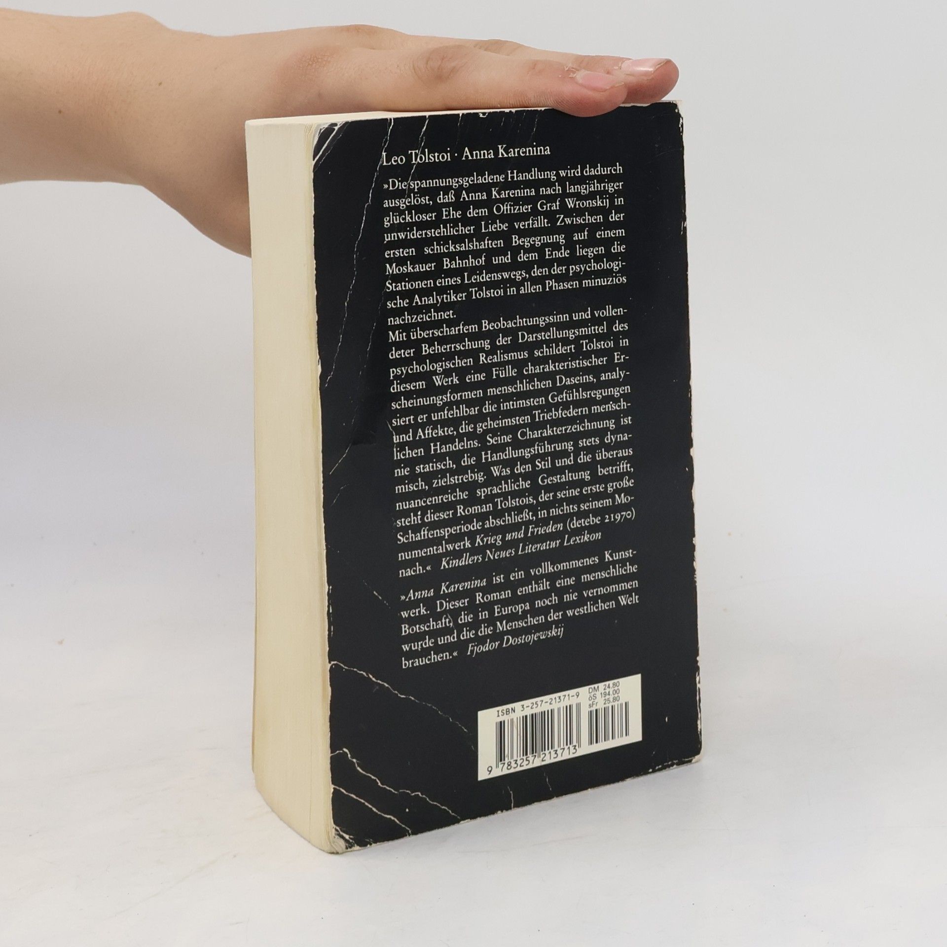 Lew Nikolajewitsch Tolstoi Anna Karenina