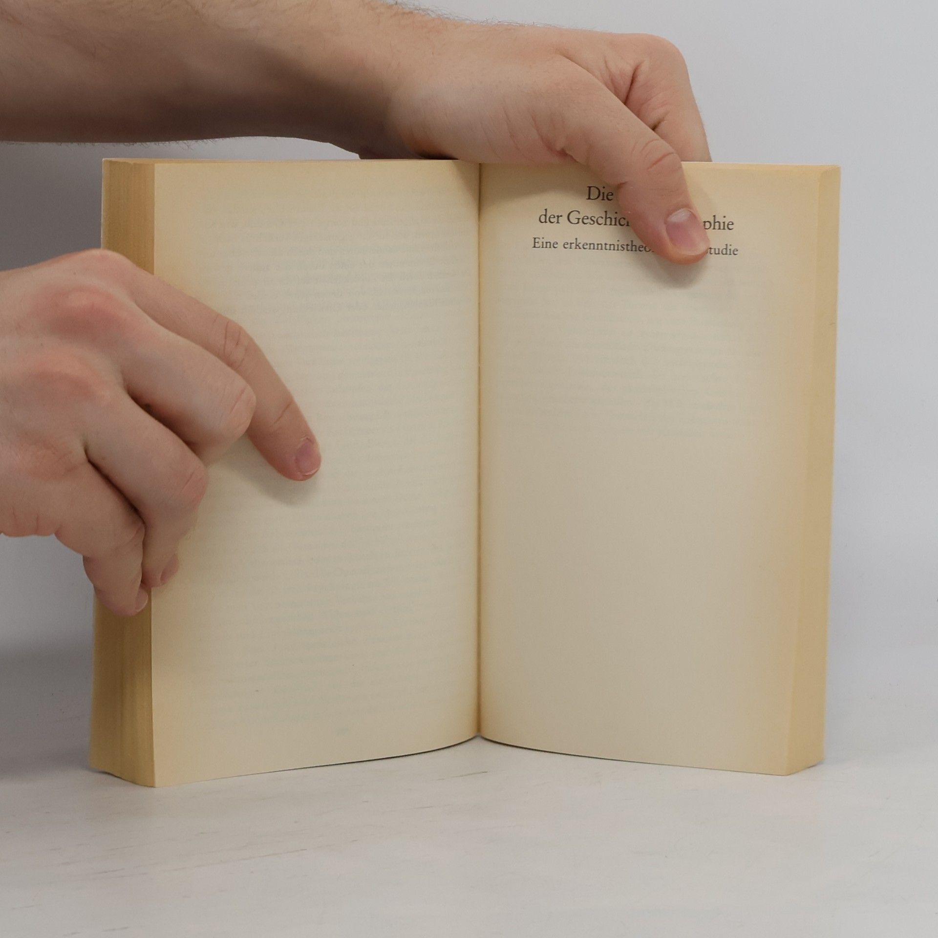 Georg Simmel Aufsätze. Über sociale Differenzierung. Die Probleme der Geschichtsphilosophie (1892)
