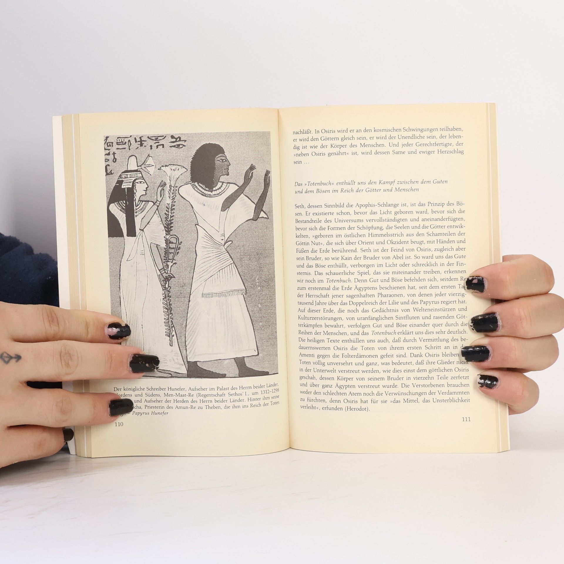 Albert Champdor Das Ägyptische Totenbuch. Vom Geheimnis des Jenseits im Reich der Pharaonen