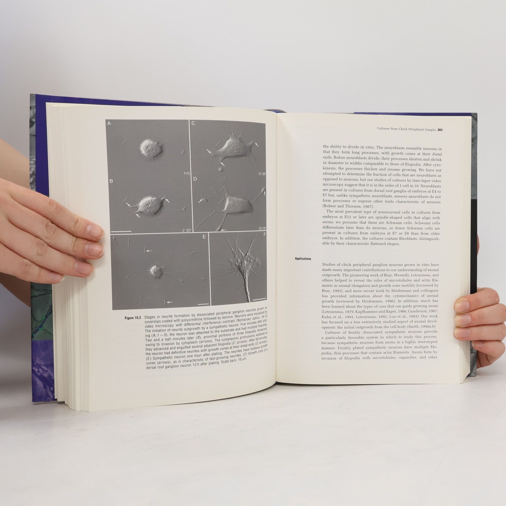 Gary Banker Culturing Nerve Cells, Second Edition