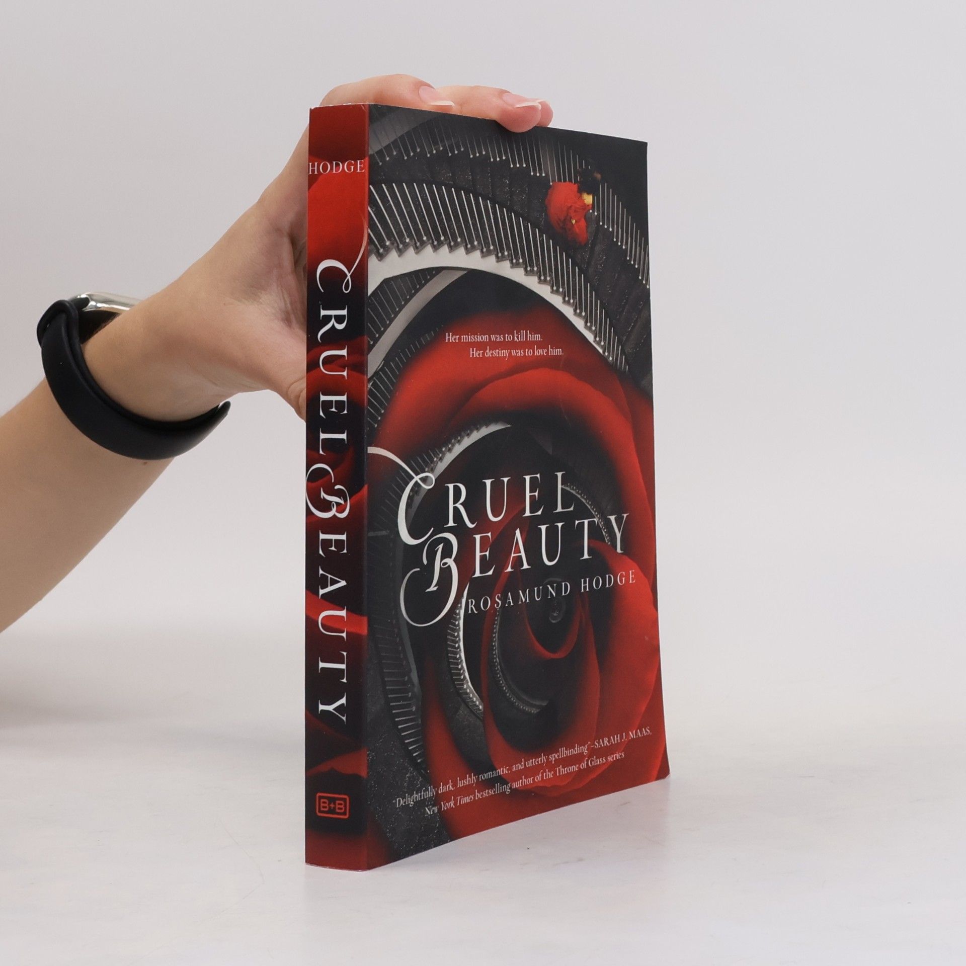Rosamund Hodge Cruel Beauty