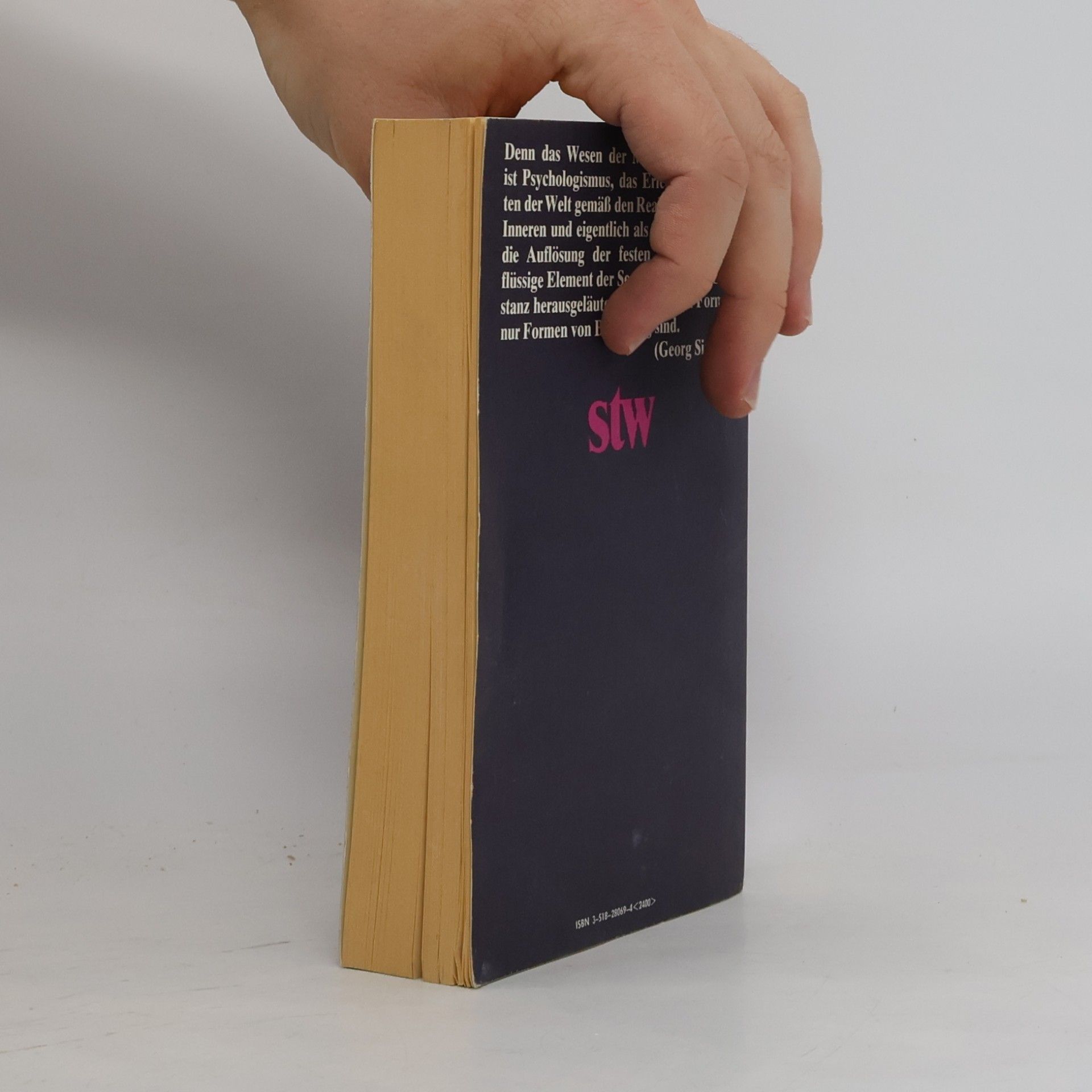 Heinz-Jürgen Dahme Suhrkamp Taschenbuch Wissenschaft - 469: Georg Simmel und die Moderne