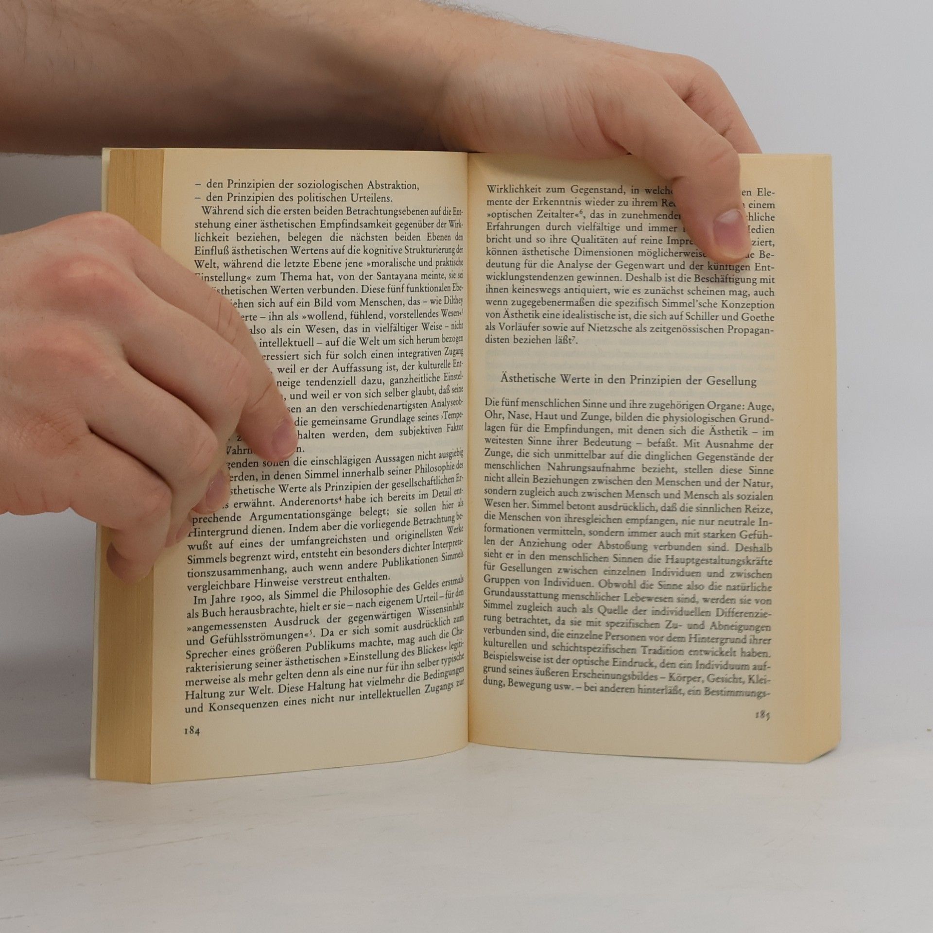 Heinz-Jürgen Dahme Suhrkamp Taschenbuch Wissenschaft - 469: Georg Simmel und die Moderne