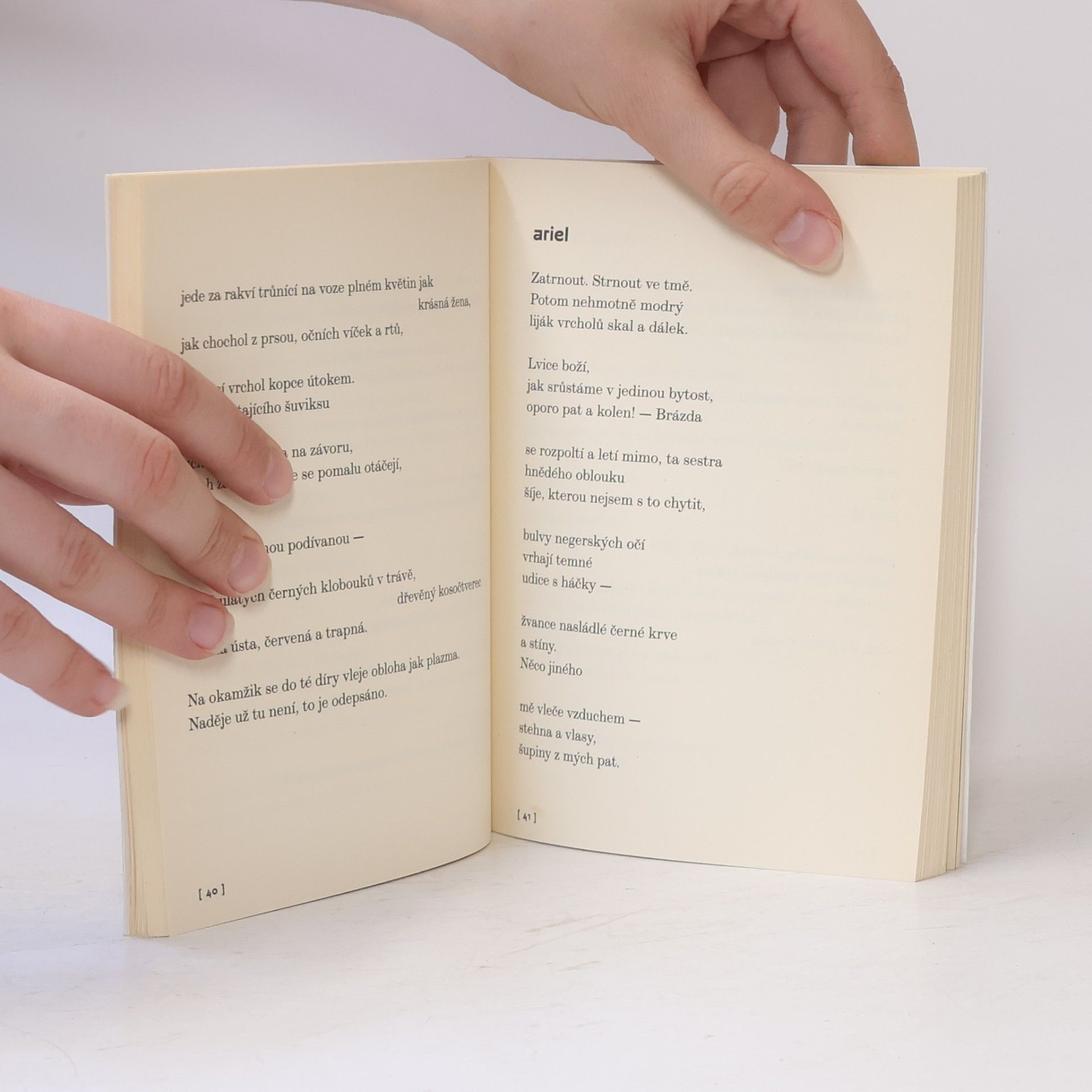 Sylvia Plath Ariel