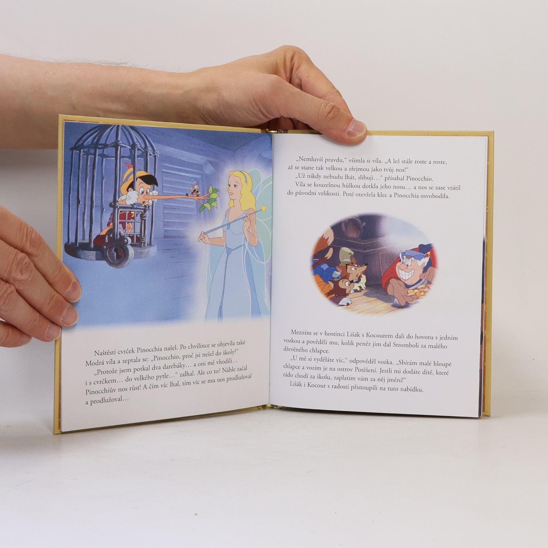 Autorenkollektiv Zlatá sbírka pohádek 40. Pinocchio