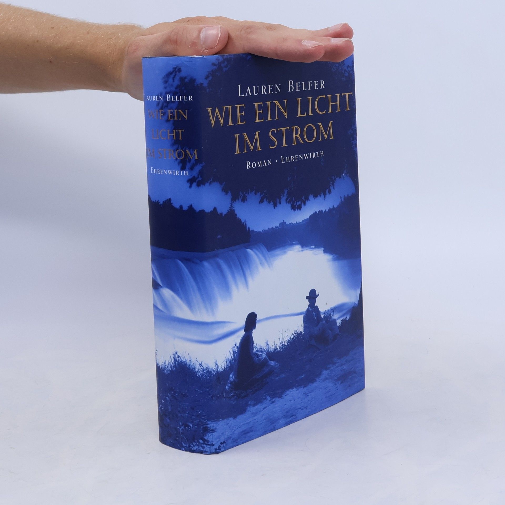 Lauren Belfer Wie ein Licht im Strom