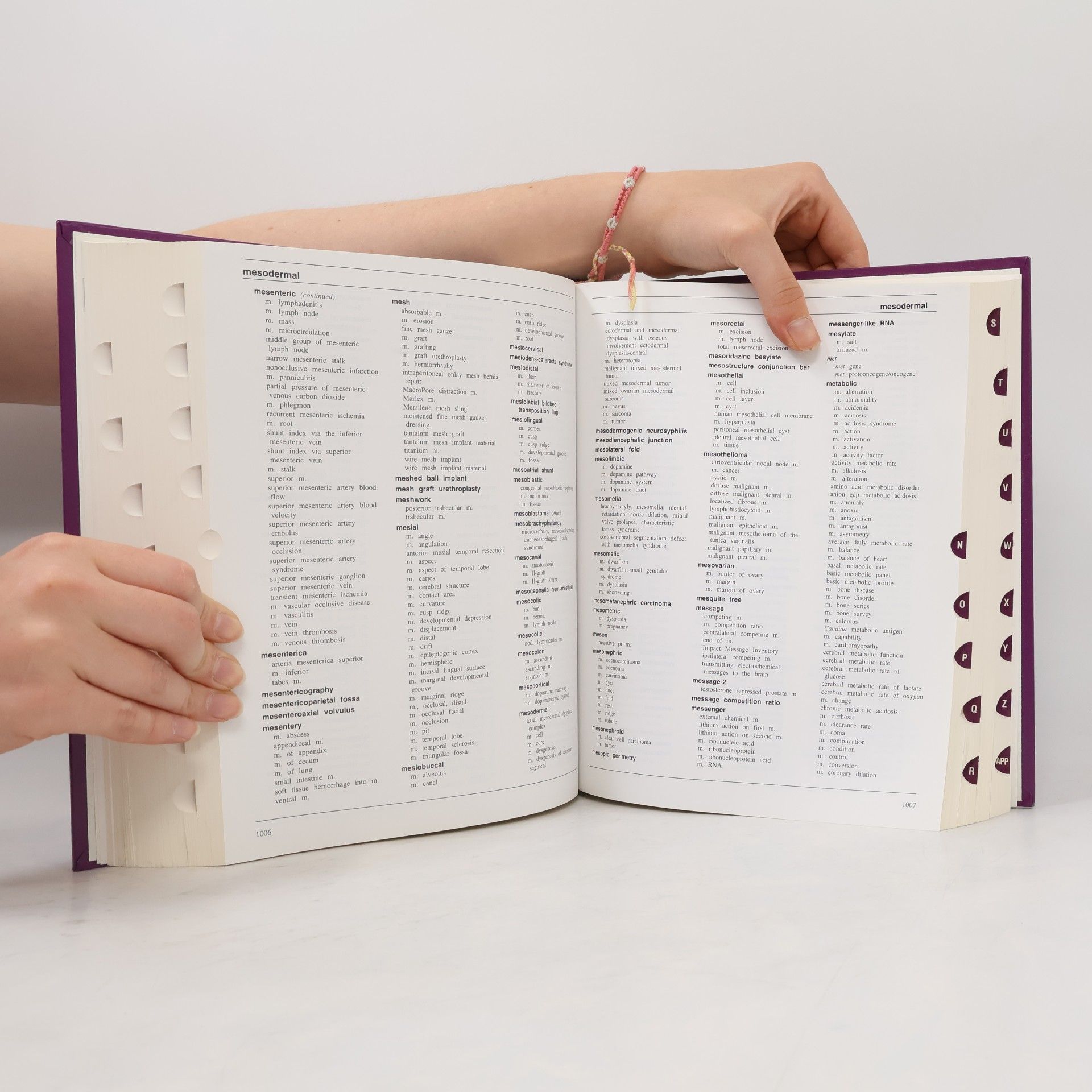 Stedman's Medical Terms and Phrases