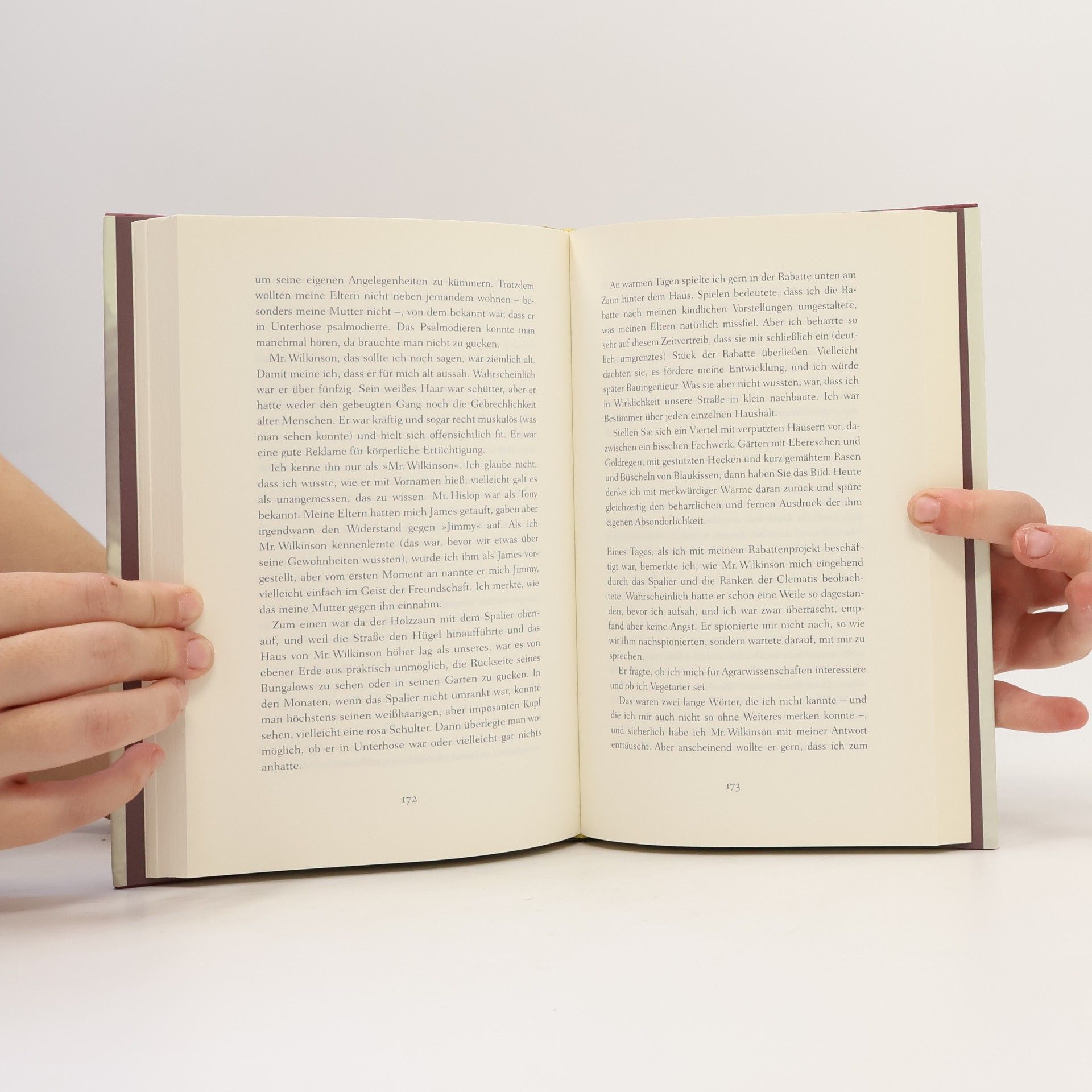 Graham Swift England and other stories
