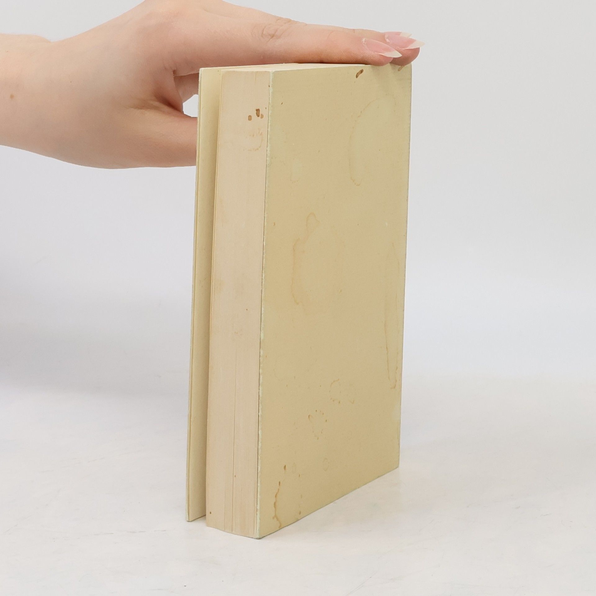Felix Philipp Ingold Das Buch der Sprüche