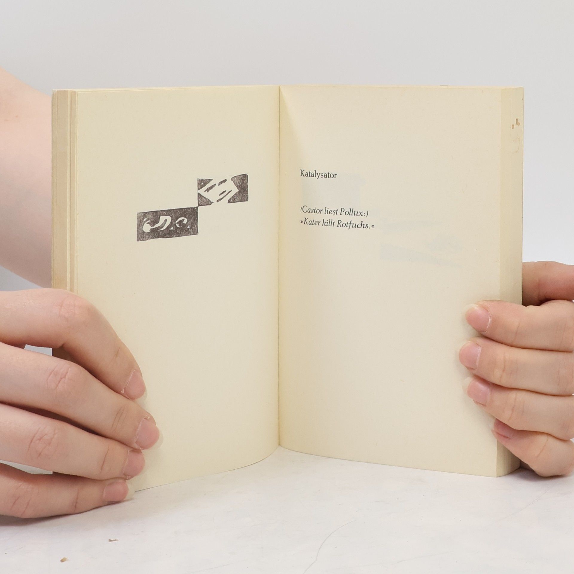 Felix Philipp Ingold Das Buch der Sprüche