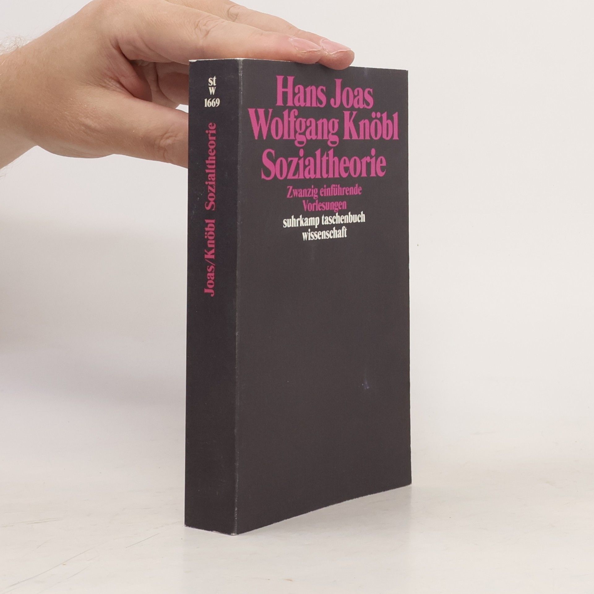 Hans Joas Sozialtheorie