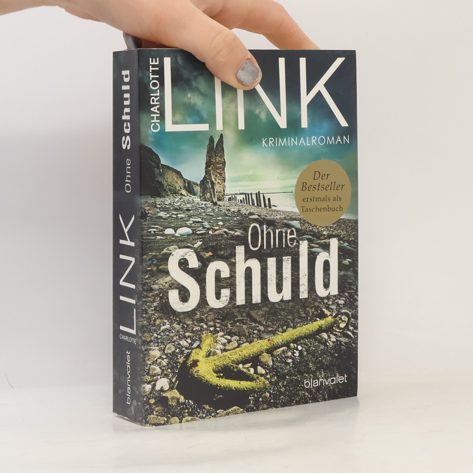 Charlotte Link Ohne Schuld