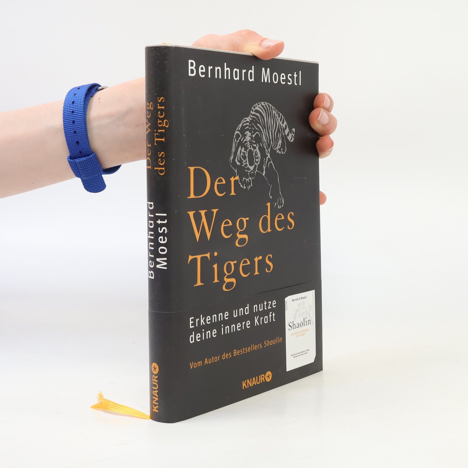 Bernhard Moestl Der Weg des Tigers