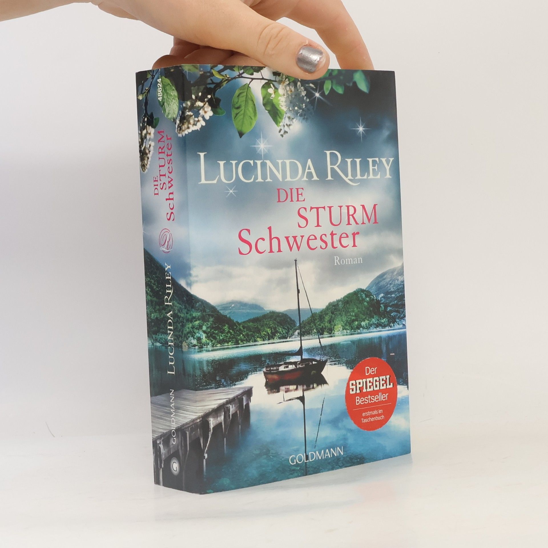 Lucinda Riley Die Sturmschwester