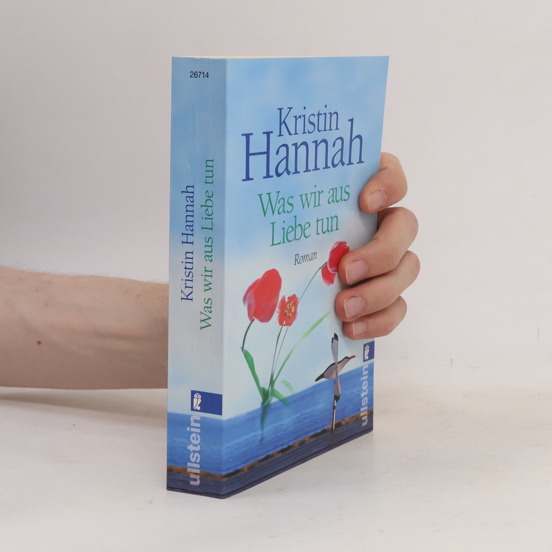 Kristin Hannah Was wir aus Liebe tun