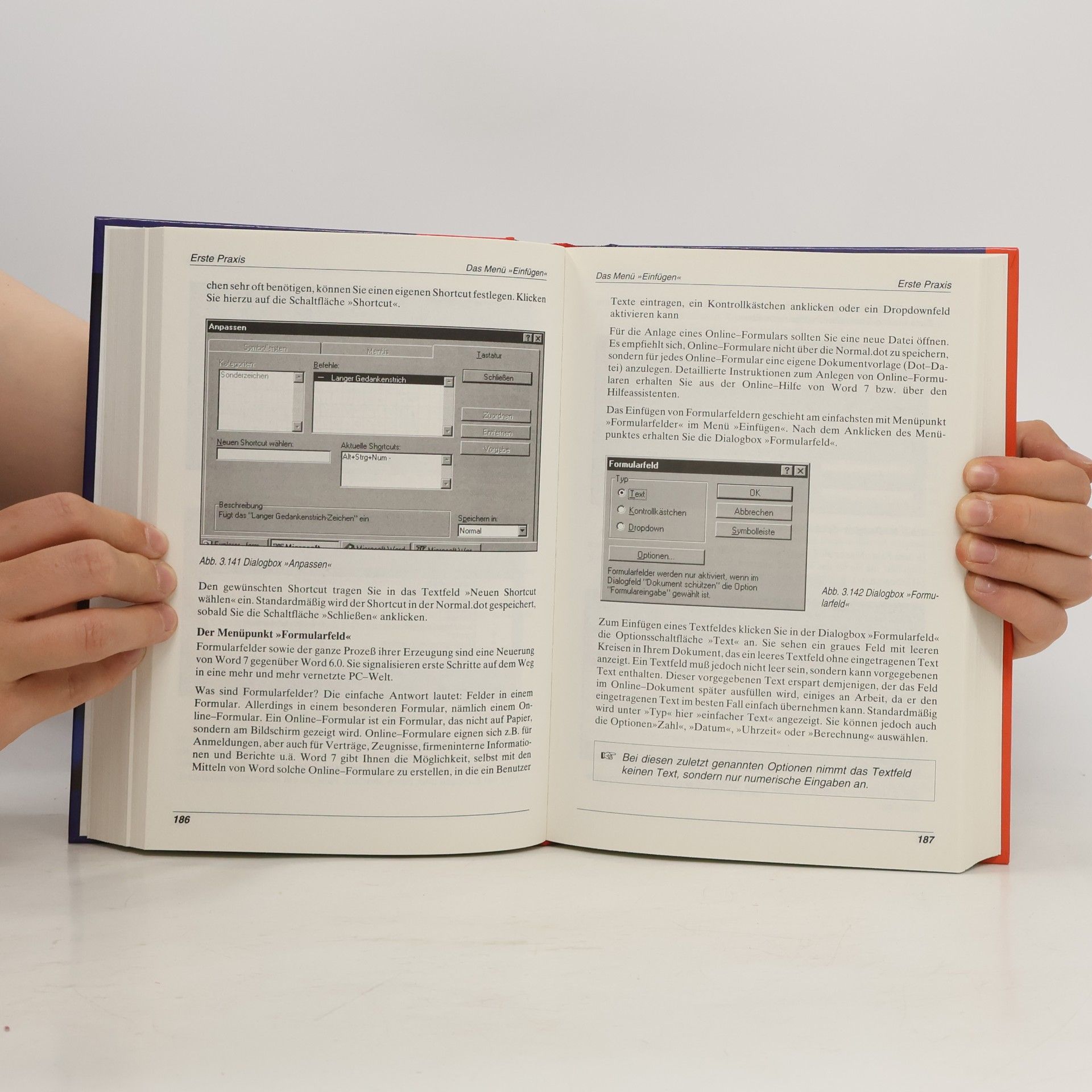 Heinz Hellerer Word 7.0 für Windows 95