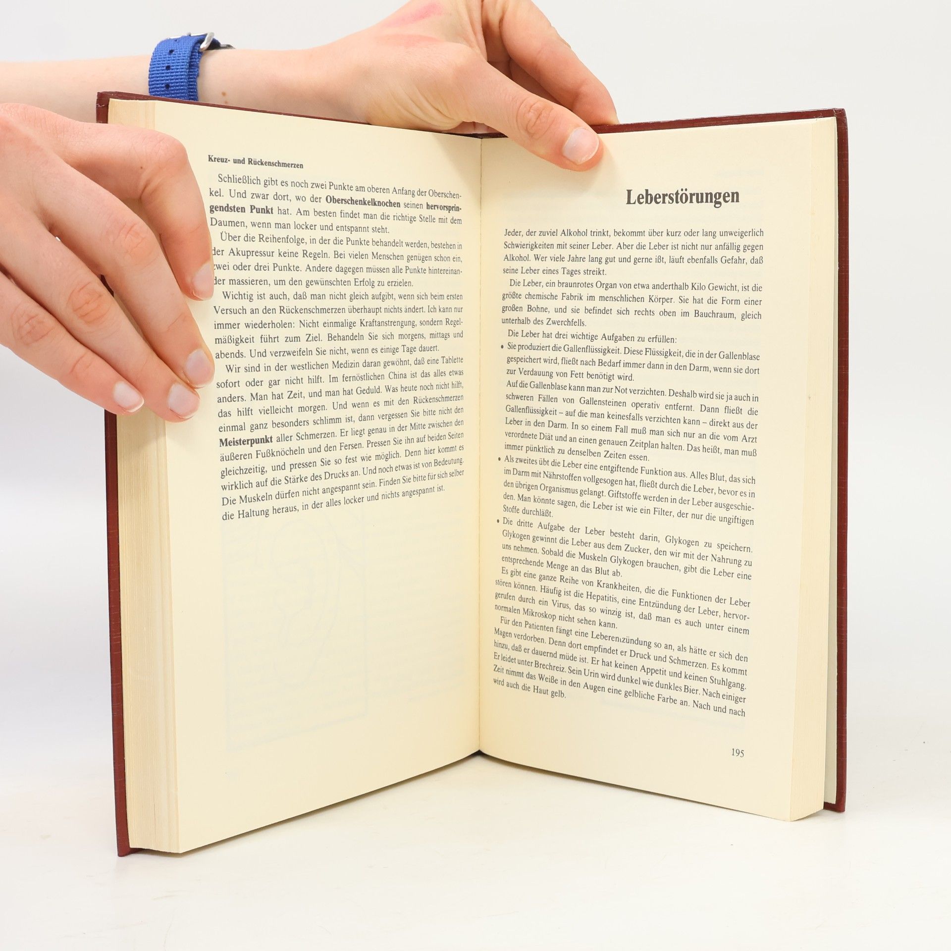 Autorenkollektiv Das Große Akupressur Buch. Schmerzfrei ohne Tabletten