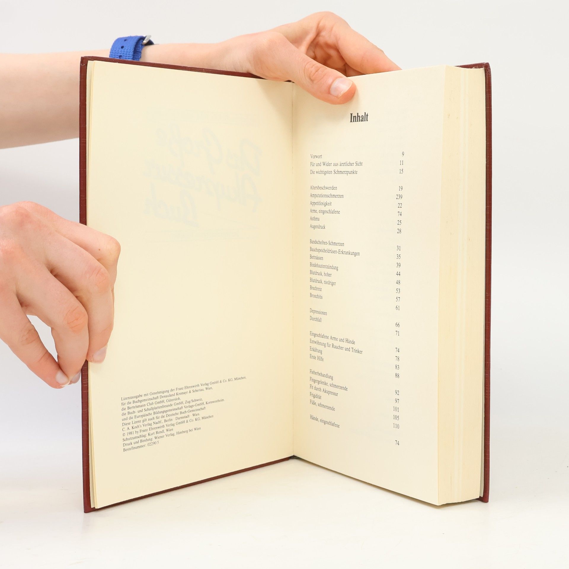 Autorenkollektiv Das Große Akupressur Buch. Schmerzfrei ohne Tabletten
