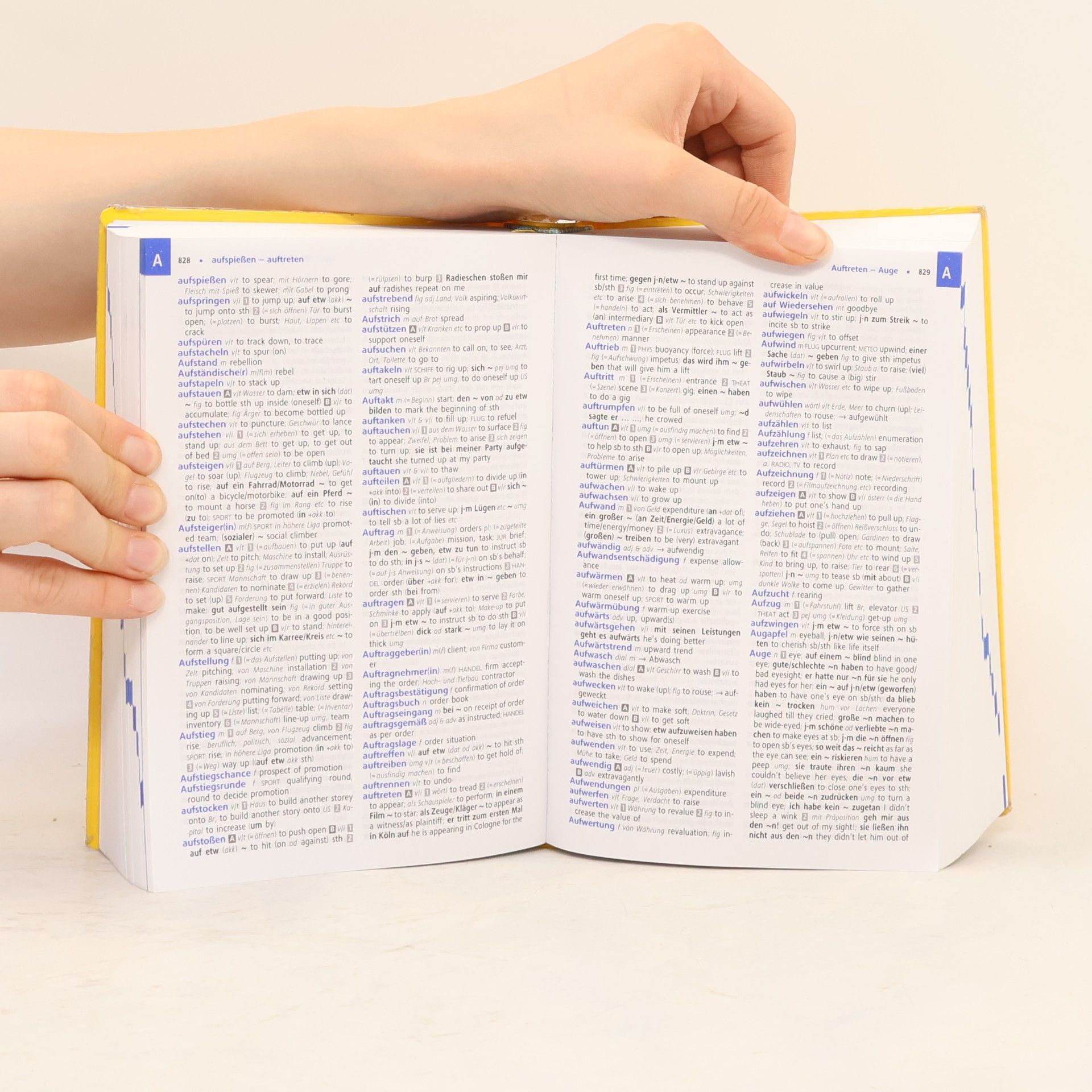 Kolektív autorov Langenscheidt Abitur-Wörterbuch Englisch