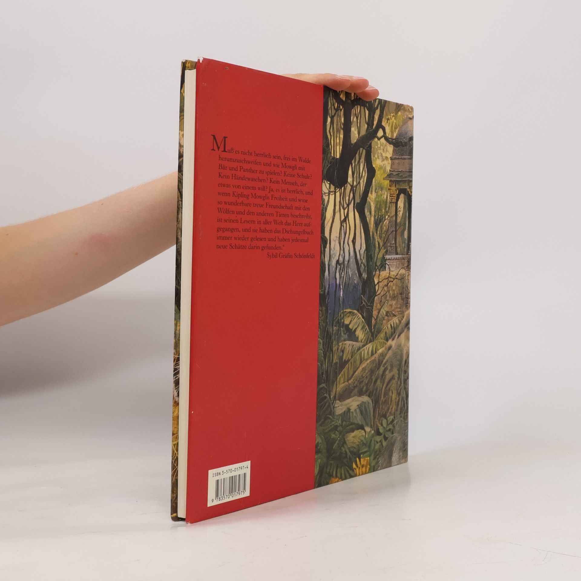 Rudyard Kipling Das Dschungelbuch