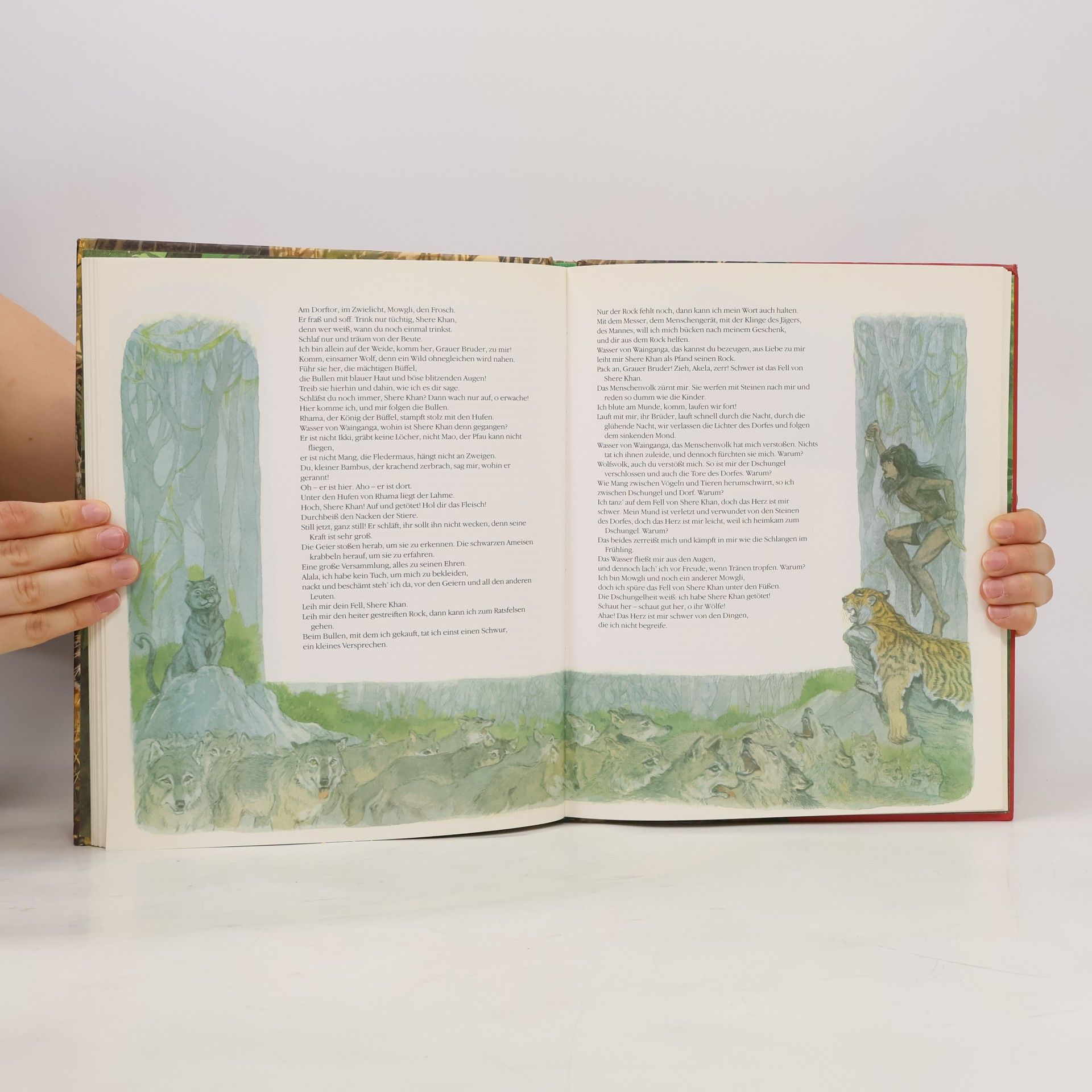 Rudyard Kipling Das Dschungelbuch