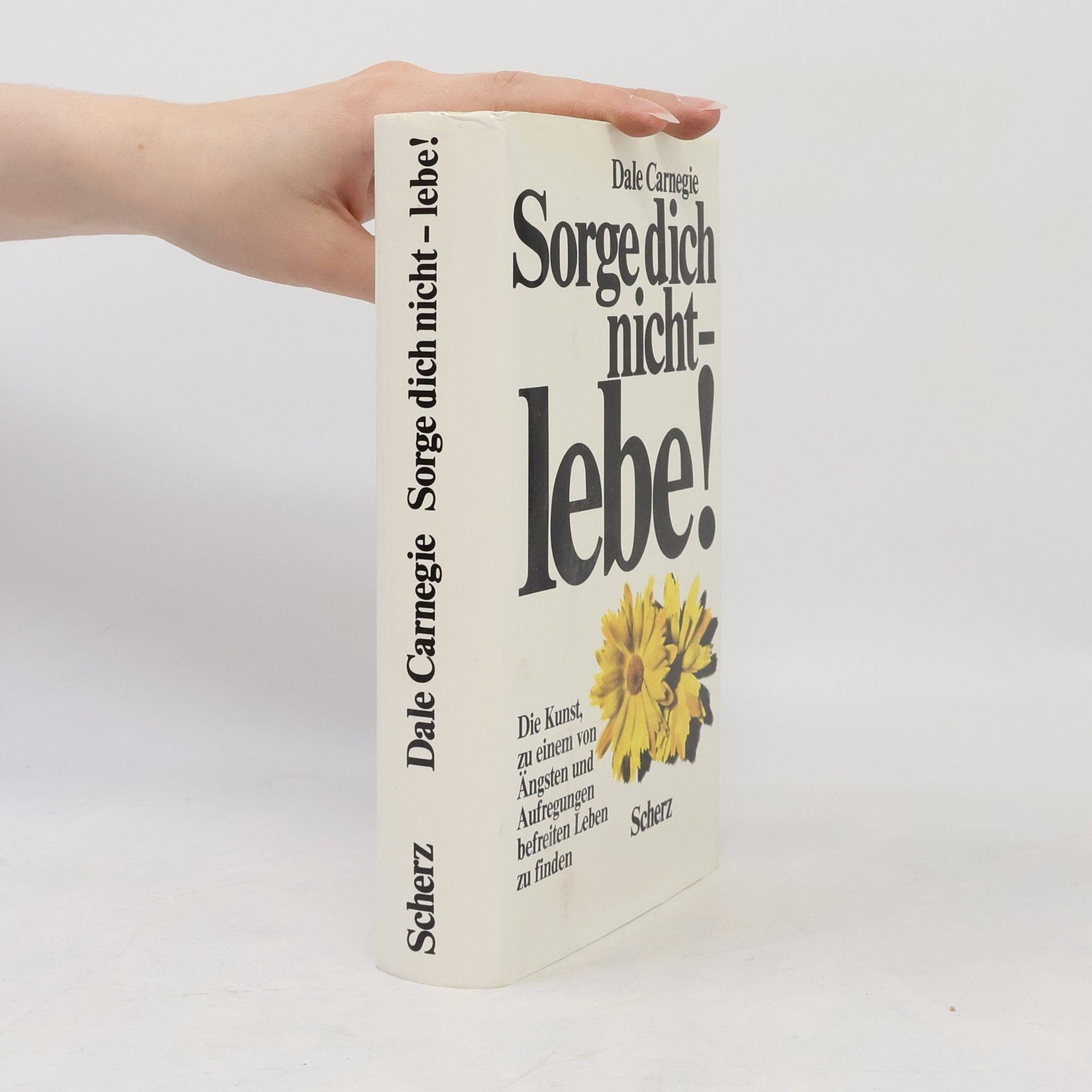 Dale Carnegie Sorge dich nicht - lebe!