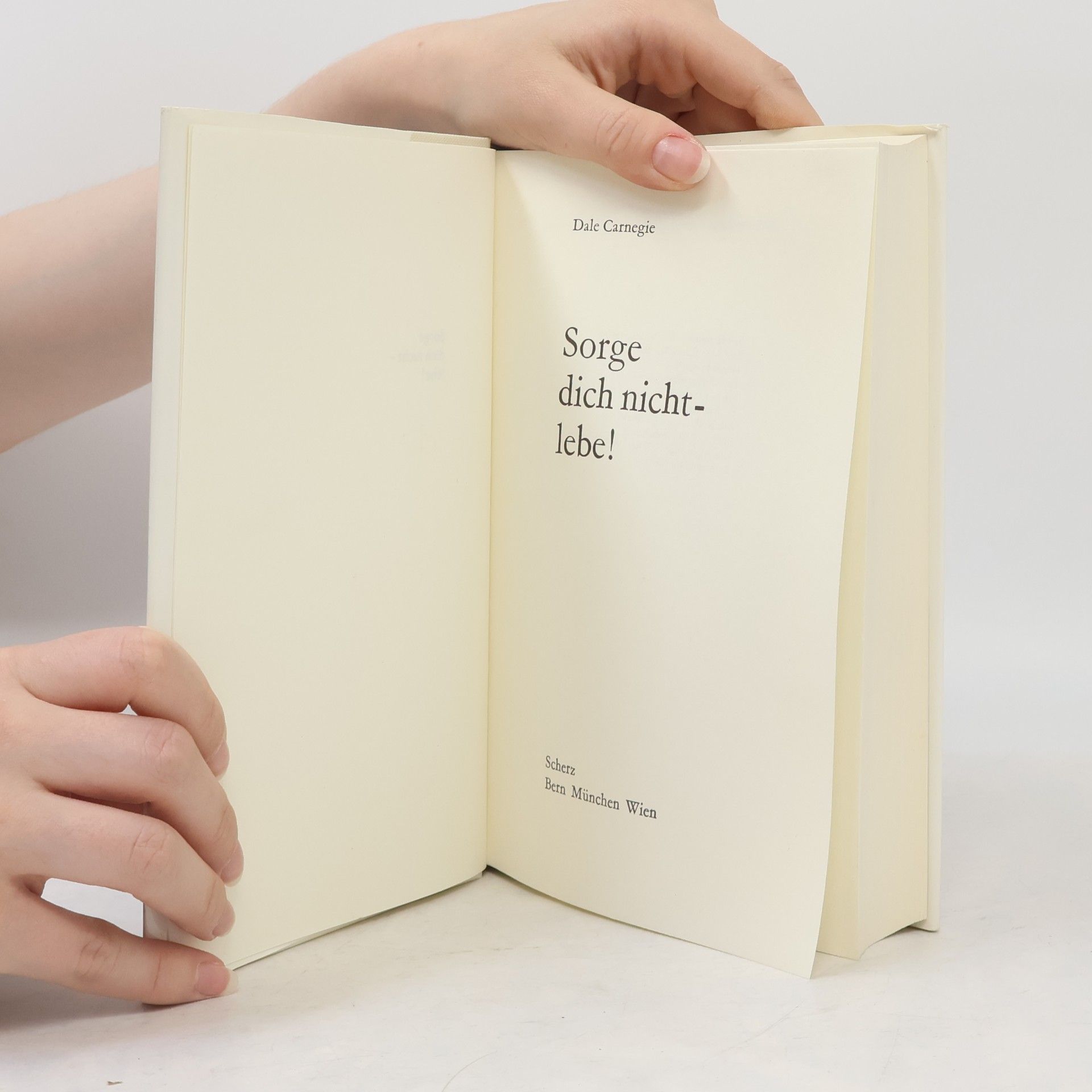 Dale Carnegie Sorge dich nicht - lebe!