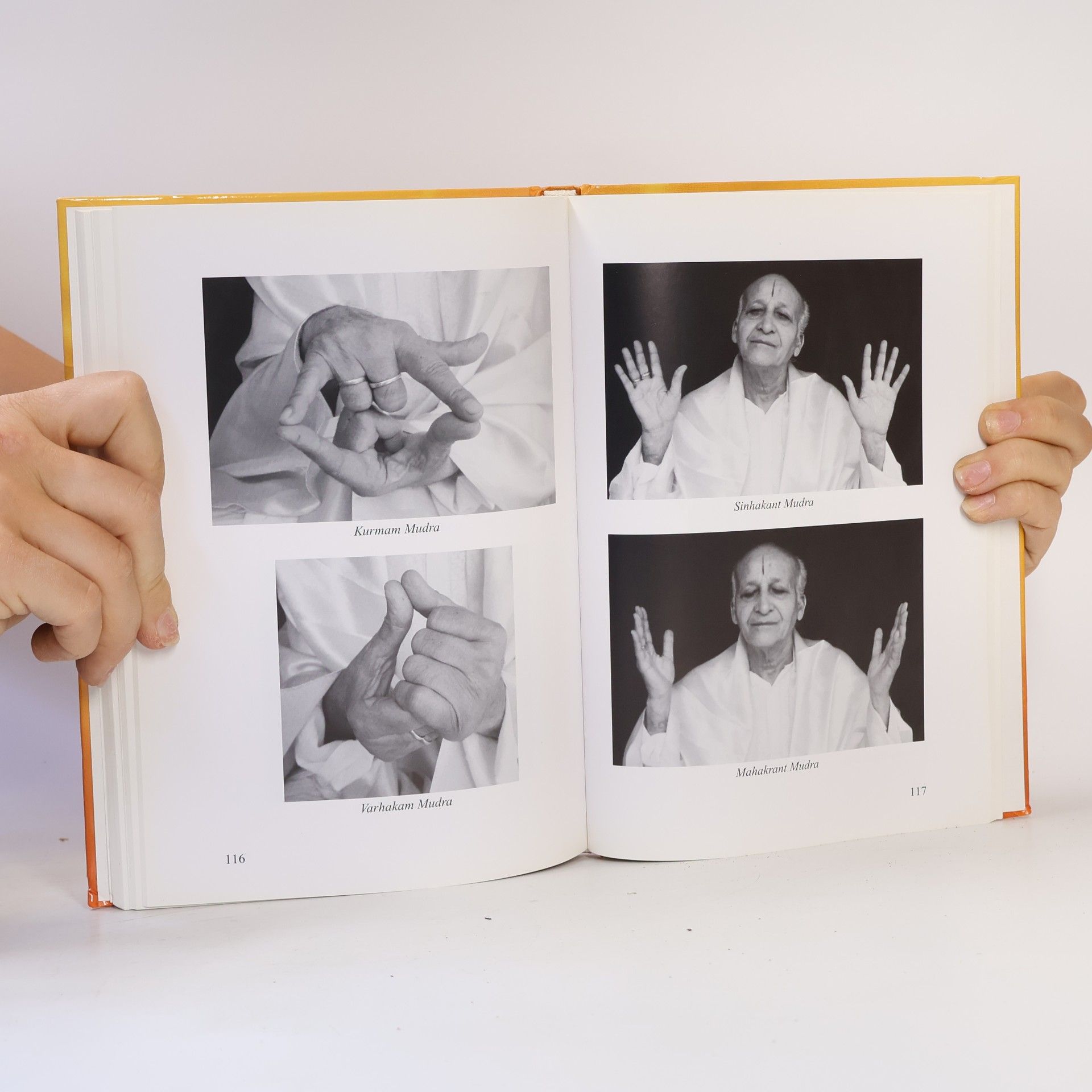 Acharya Keshav Dev Die Heilkraft der Mudras
