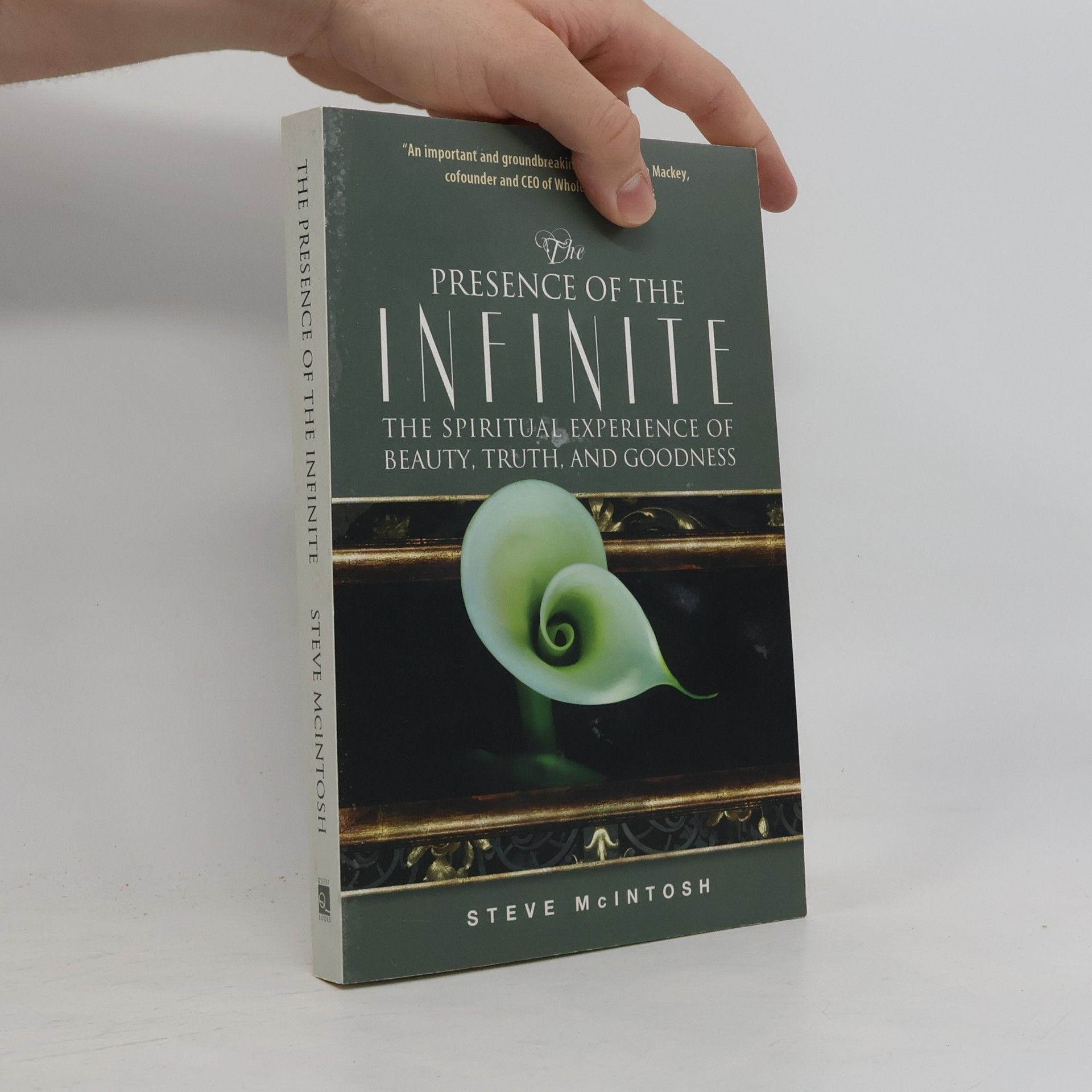 Steve McIntosh The Presence of the Infinite