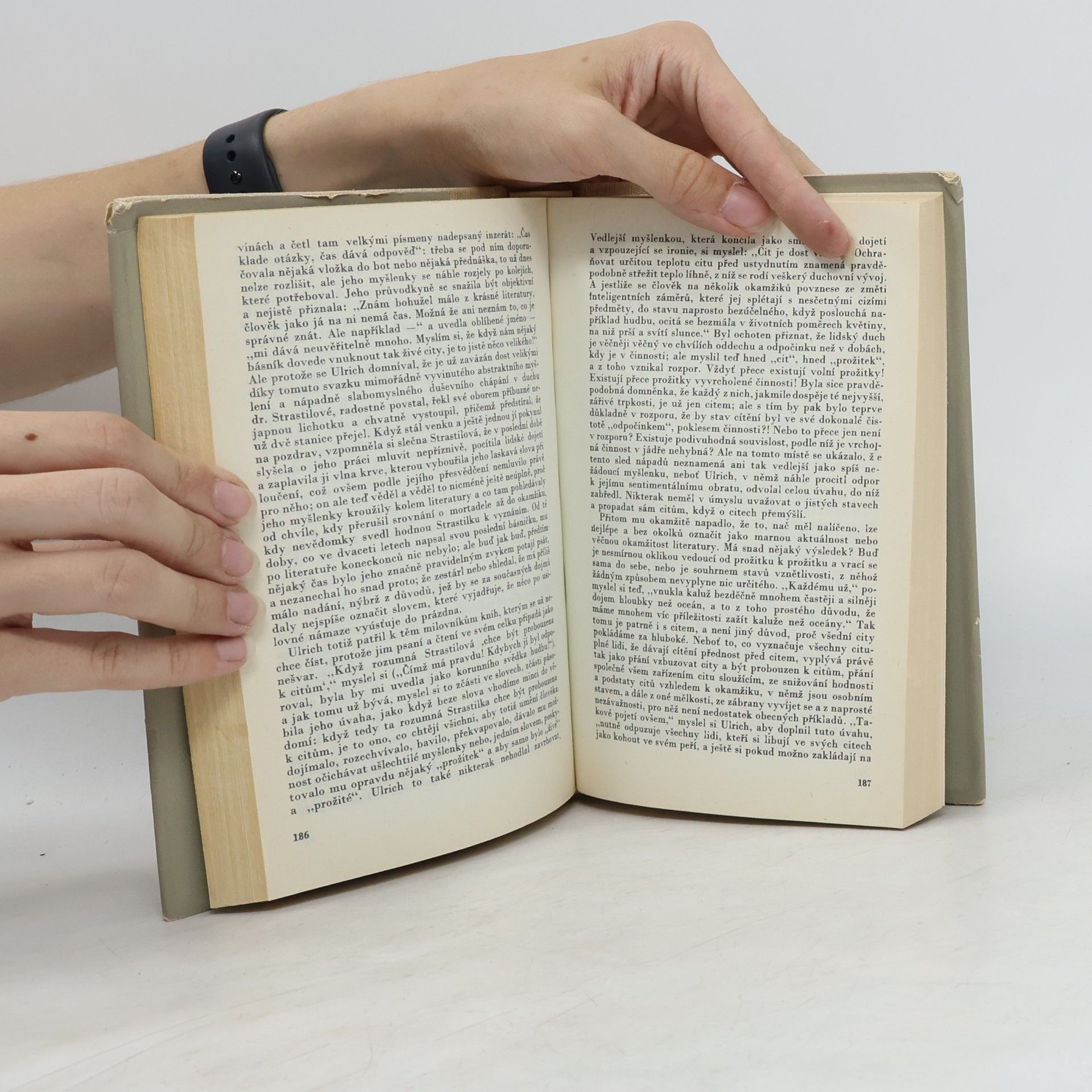 Robert Musil Muž bez vlastností II