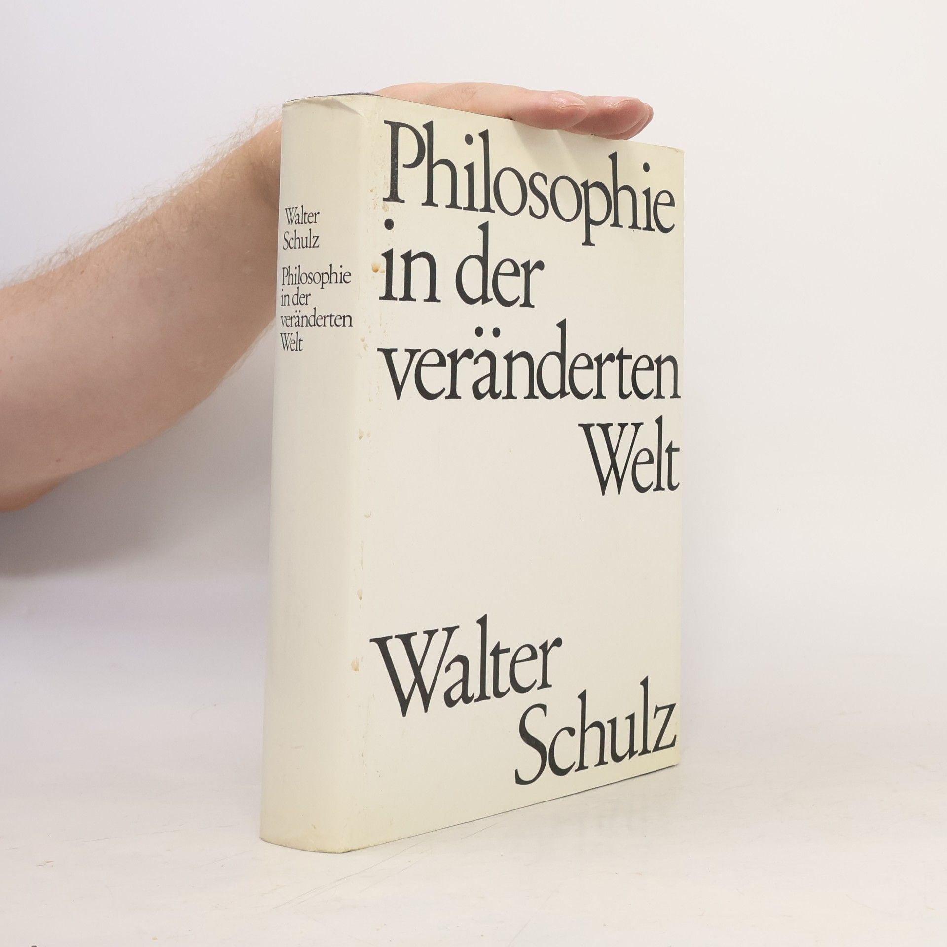 Walter Schulz Philosophie in der veränderten Welt