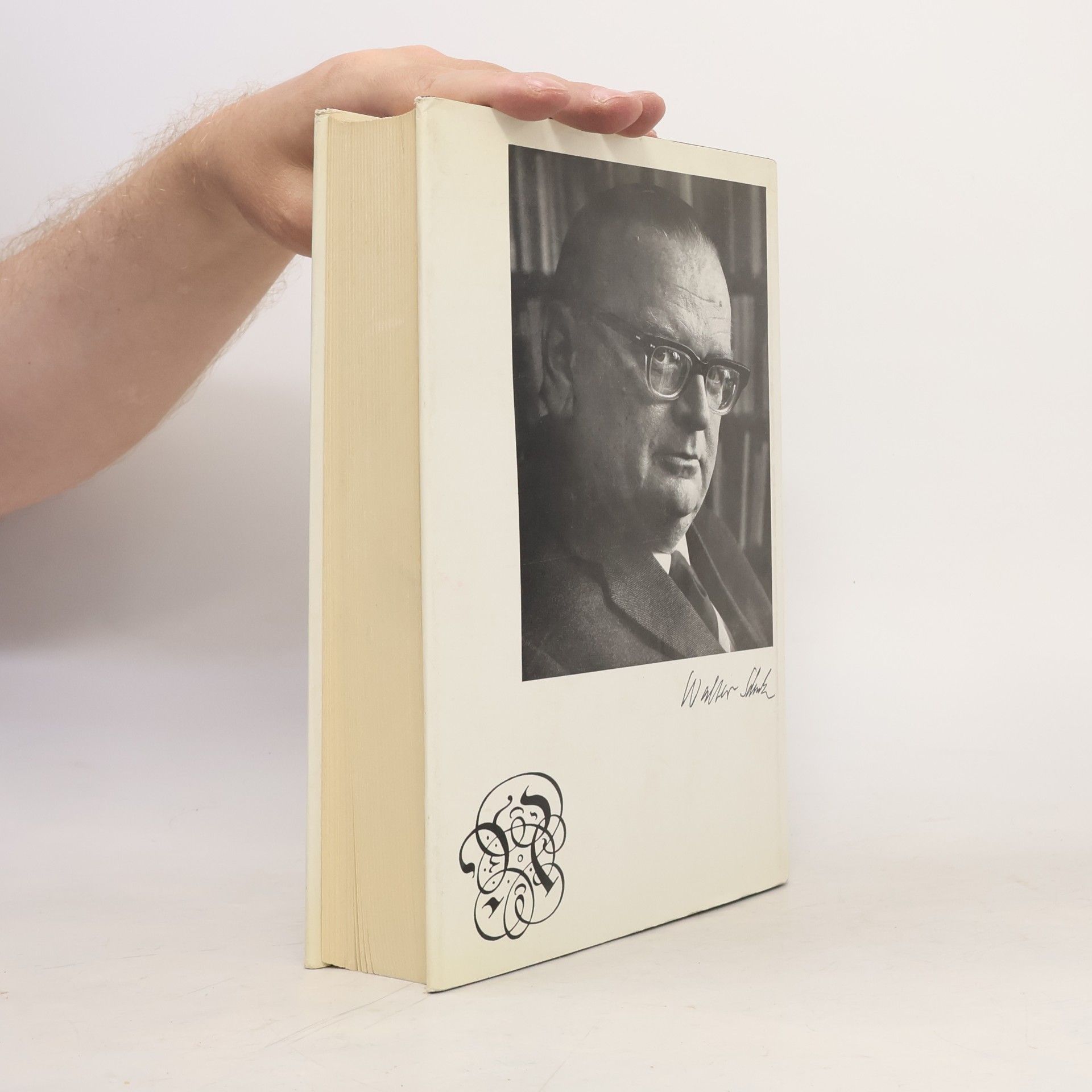 Walter Schulz Philosophie in der veränderten Welt