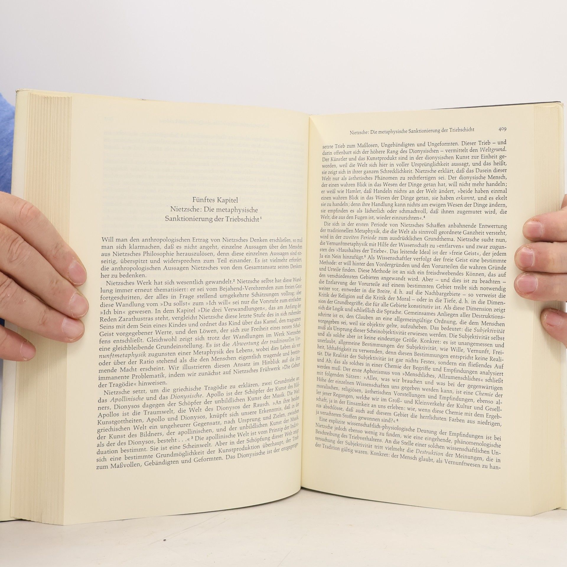 Walter Schulz Philosophie in der veränderten Welt