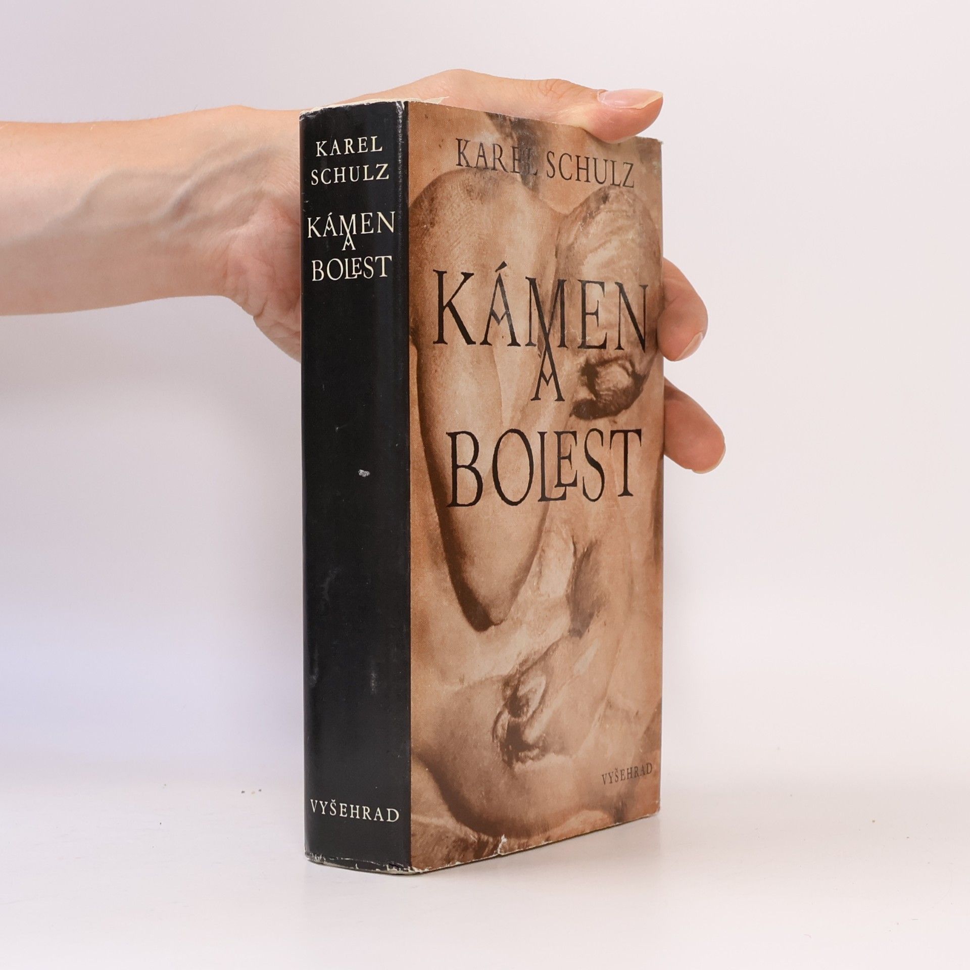 Karel Schulz Kámen a bolest