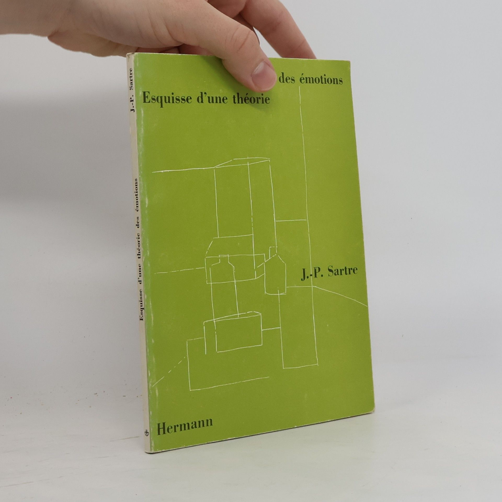 Esquisse d'une théorie des émotions