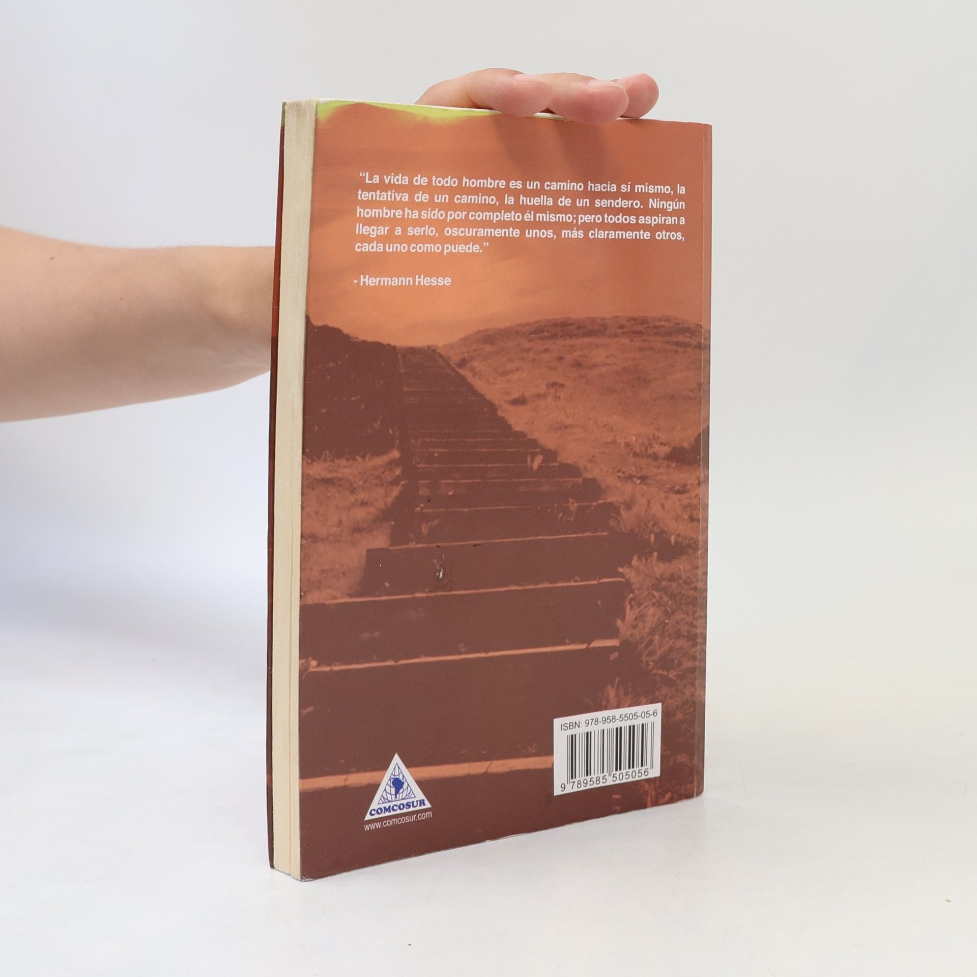 Hermann Hesse Literatura Universal: Demian