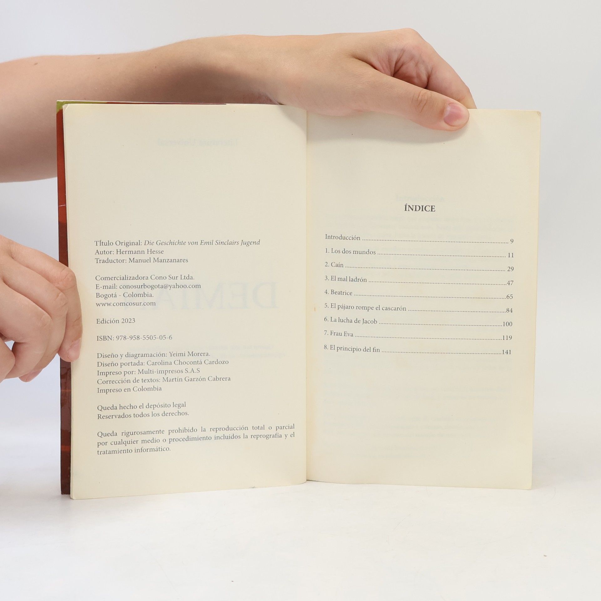 Hermann Hesse Literatura Universal: Demian