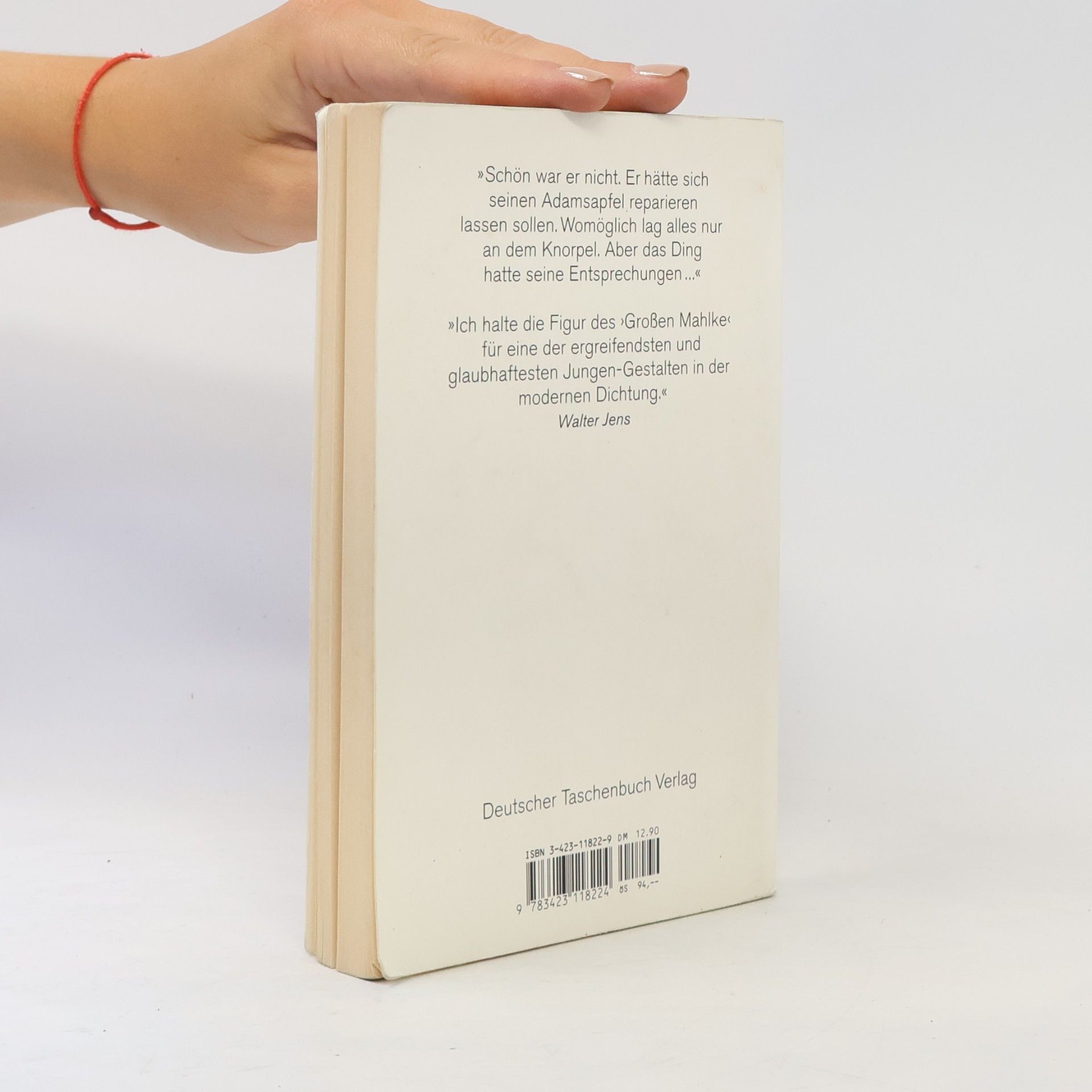 Günter Grass Katz und Maus. Eine novelle