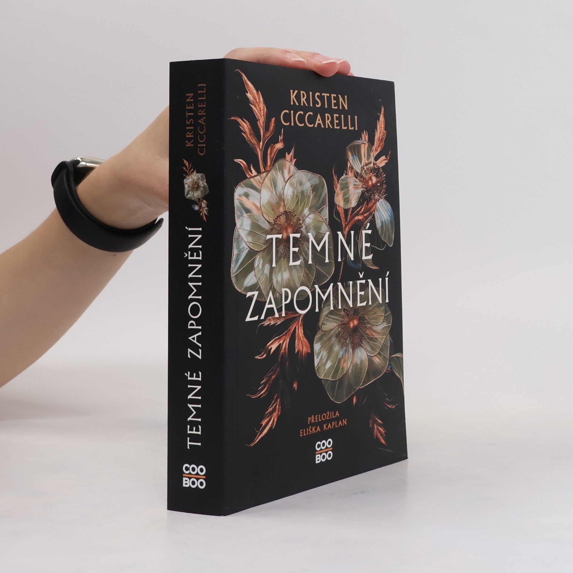 Kristen Ciccarelli Temné zapomnění