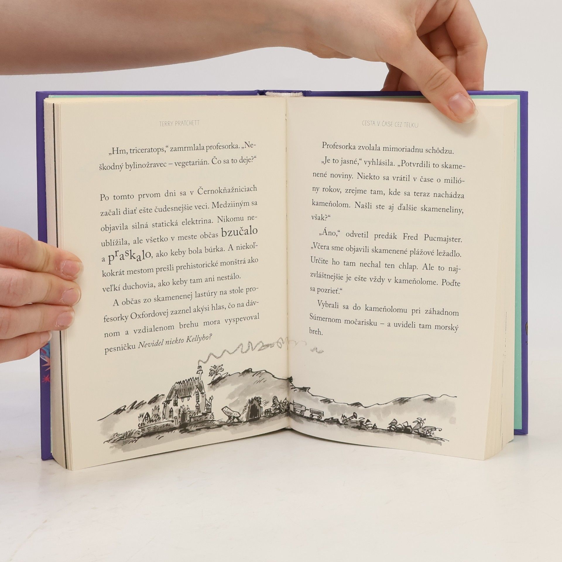 Terry Pratchett Striga na vysávači