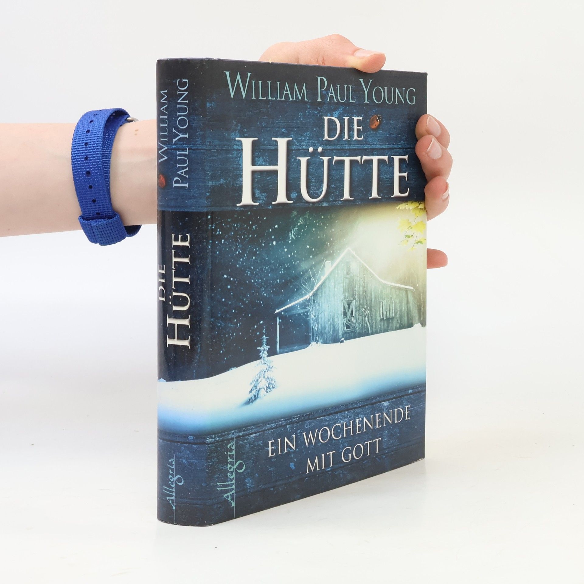 William P. Young Die Hütte
