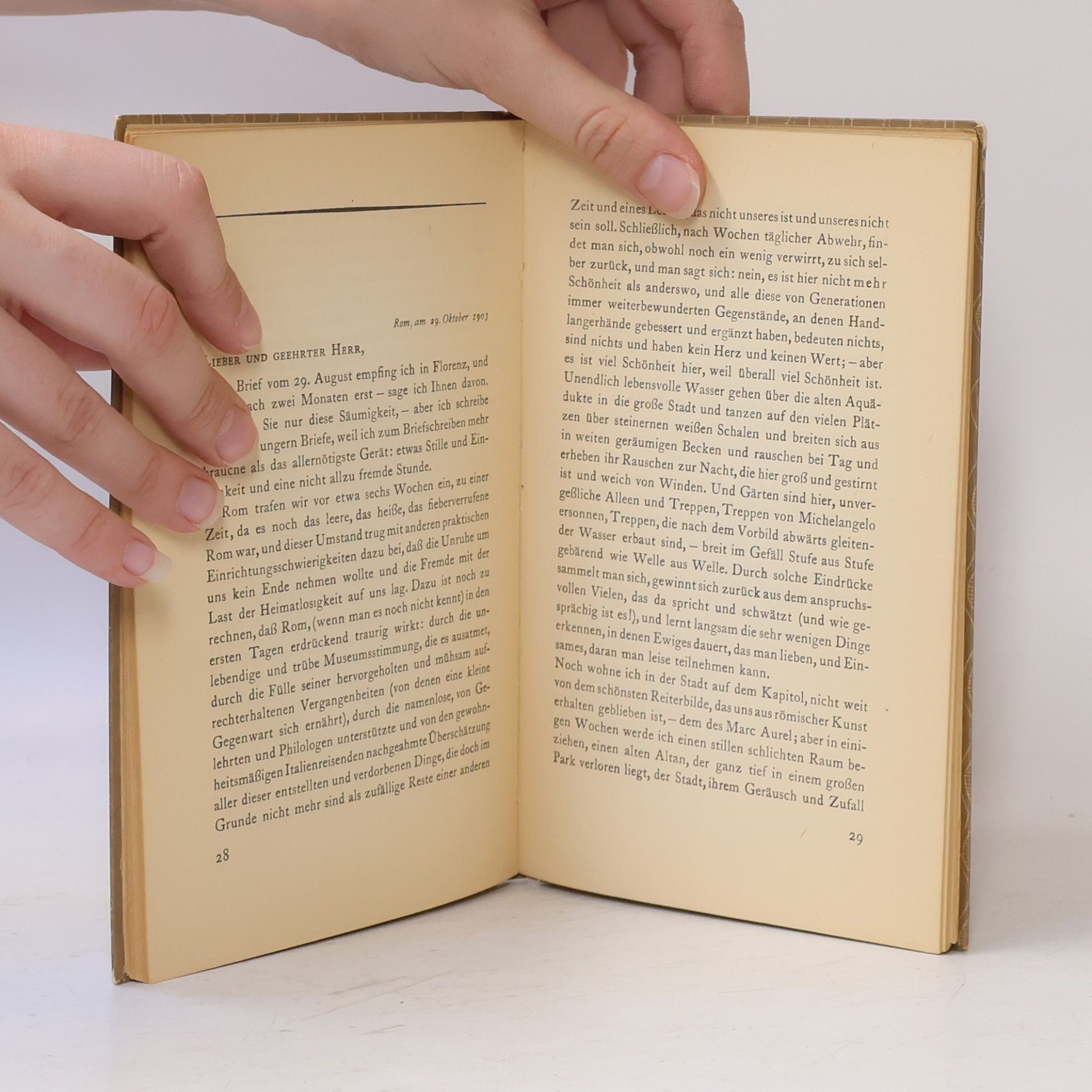 Rainer Maria Rilke Briefe an einen jungen Dichter