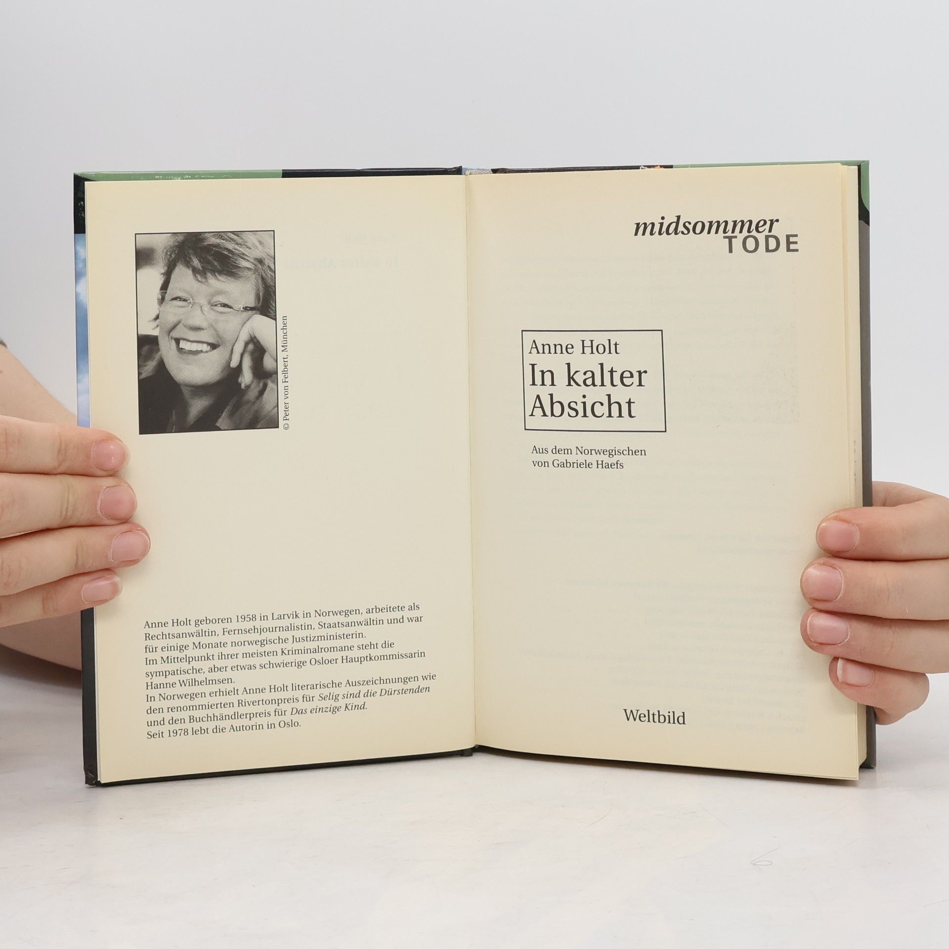 Anne Holt In kalter Absicht