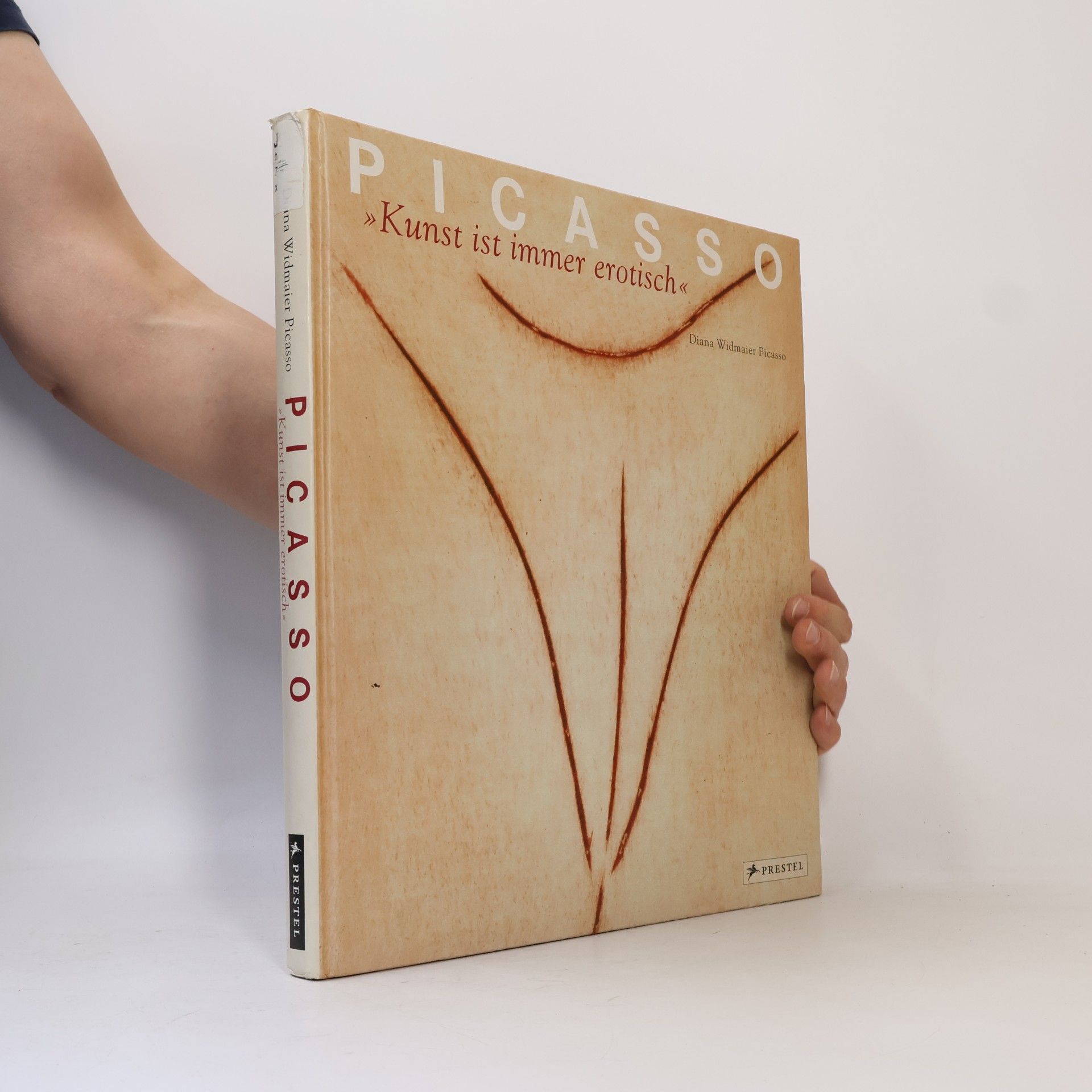 Pablo Picasso Picasso