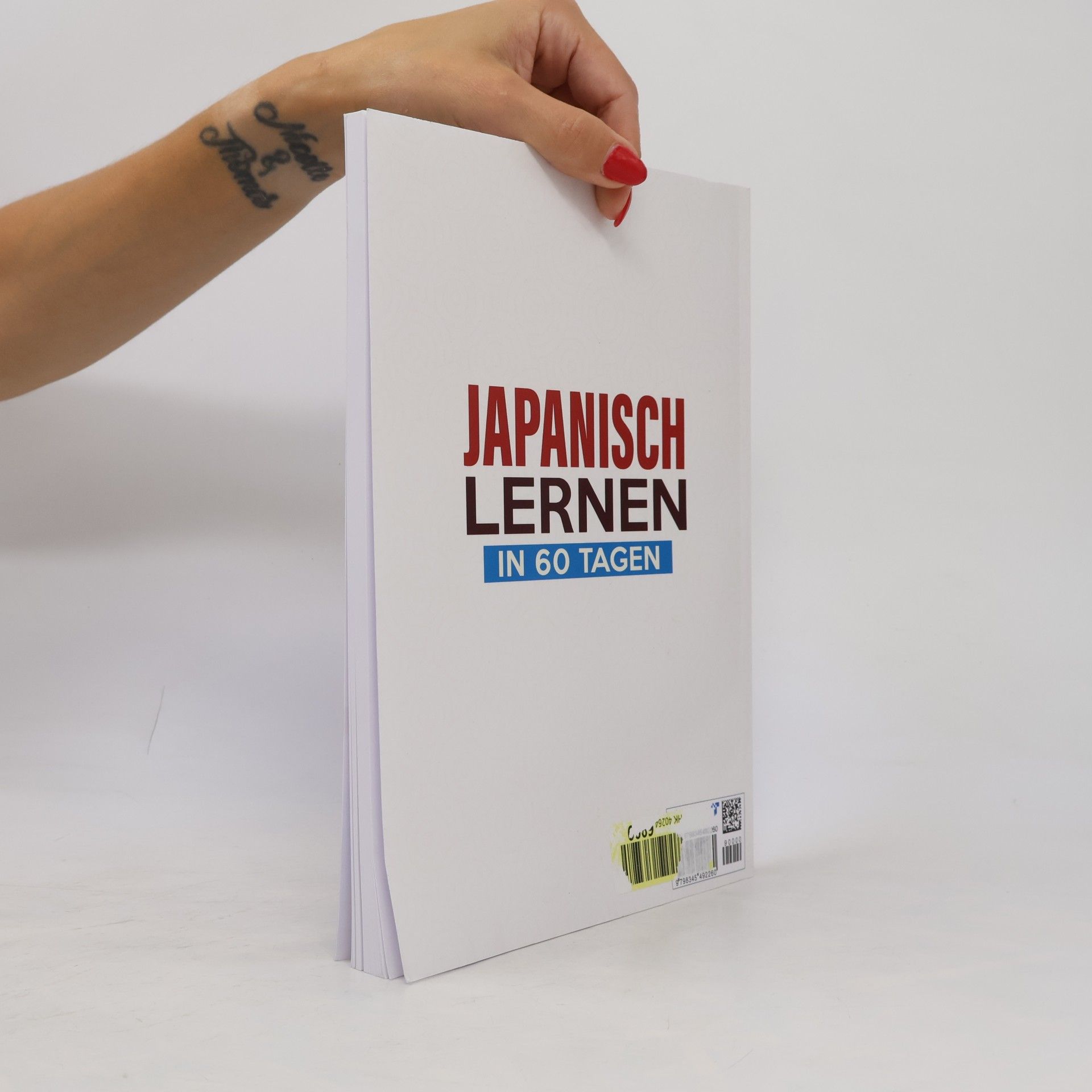 Hanako Sato Japanisch Lernen in 60 Tagen