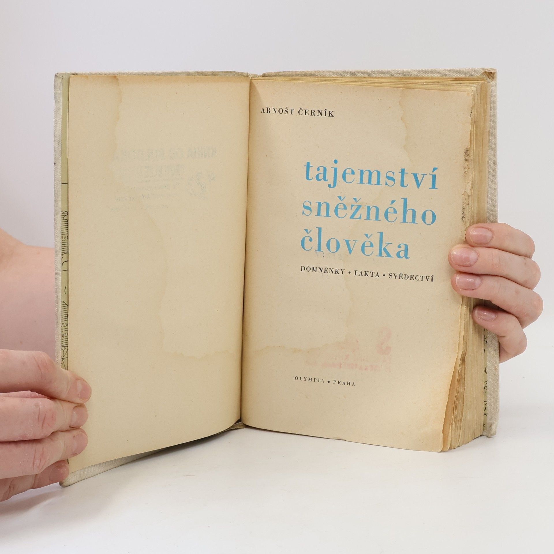 Arnošt Černík Tajemství sněžného člověka