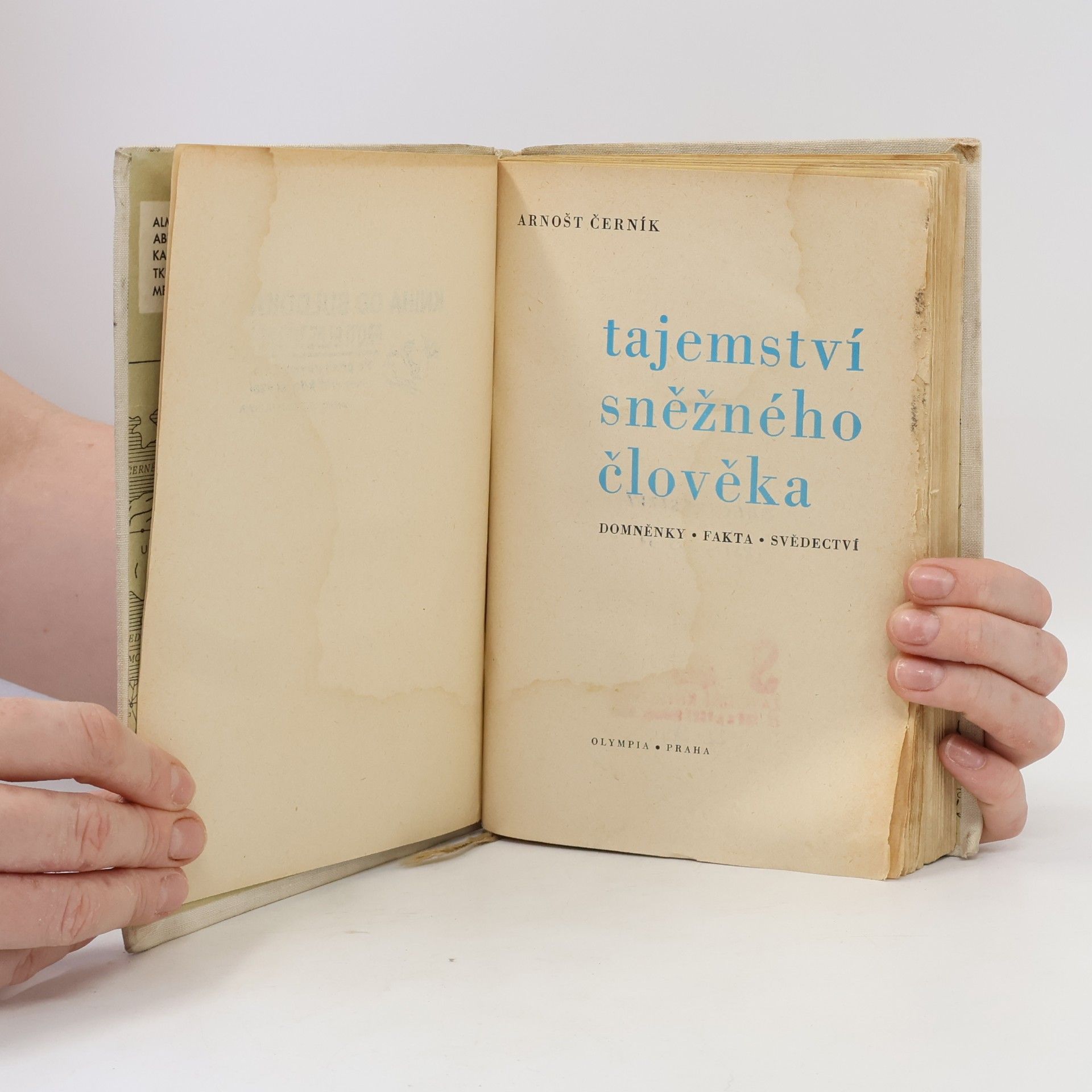 Arnošt Černík Tajemství sněžného člověka