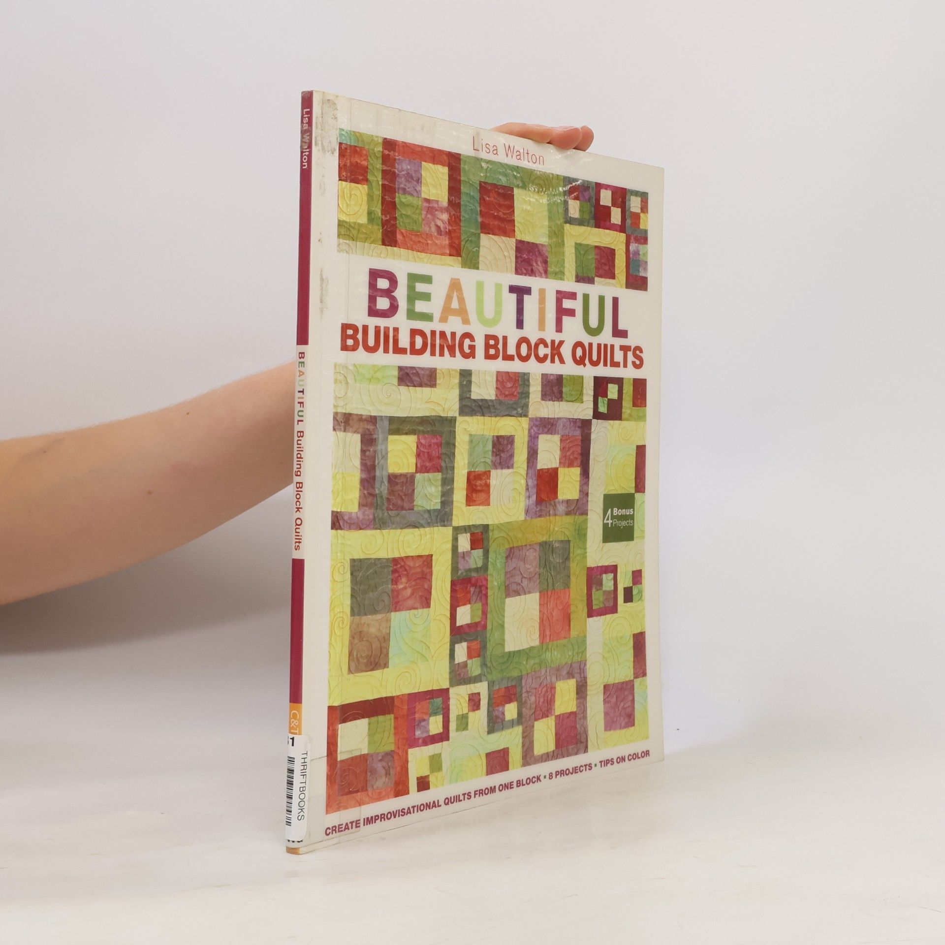 Lisa Walton Beautiful Building Block Quilts