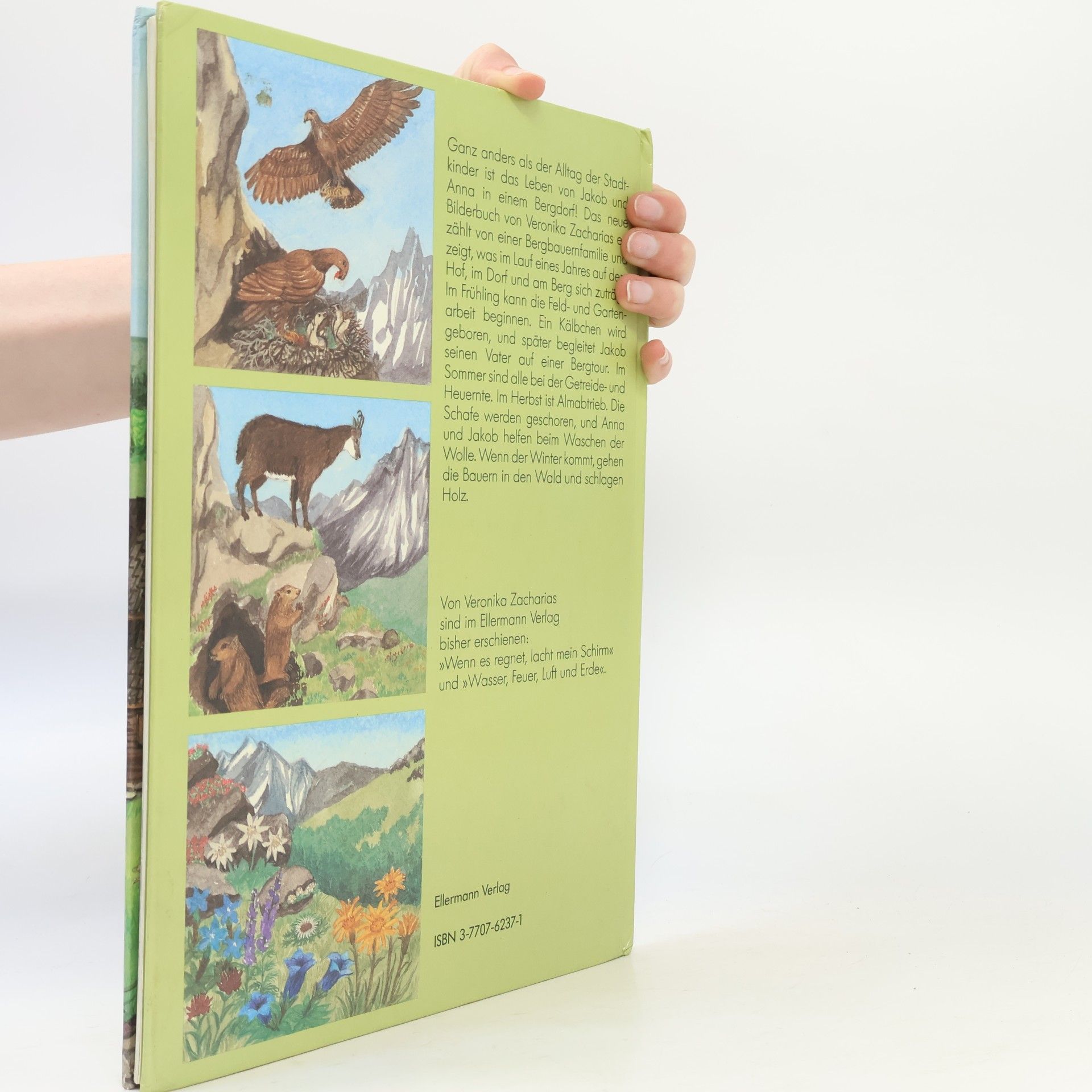 Veronika Zacharias Zwischen Berg und Tal: Ein Bilderbuch vom Bergbauernhof